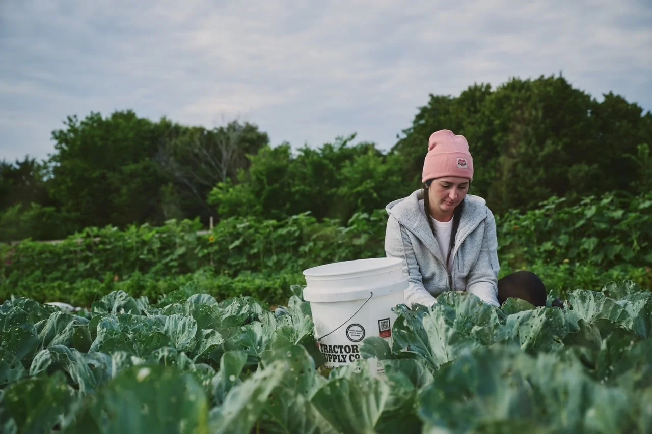A woman with a pink beanie and gray hoodie working in a green farm field.