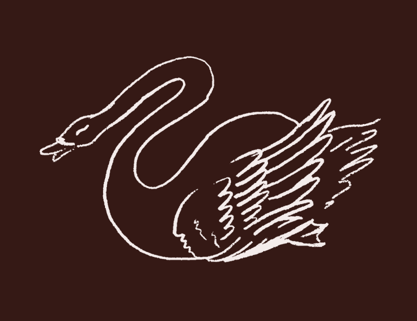 Line drawing of a swan with detailed feathers on a dark background.