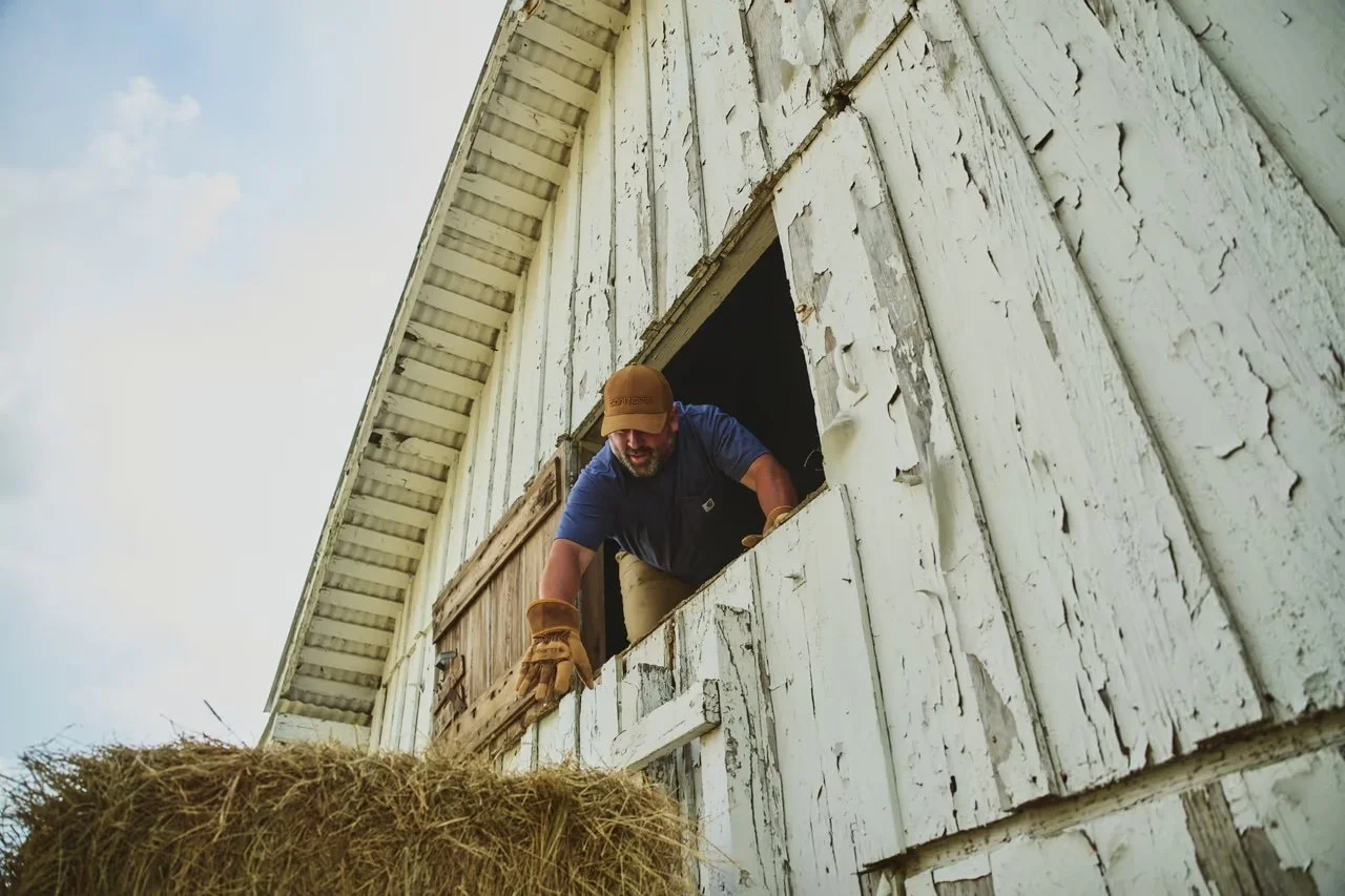 Man leaning out of a rustic barn window with splintered white paint, wearing a brown cap and work gloves, reaching toward hay in front of the barn.