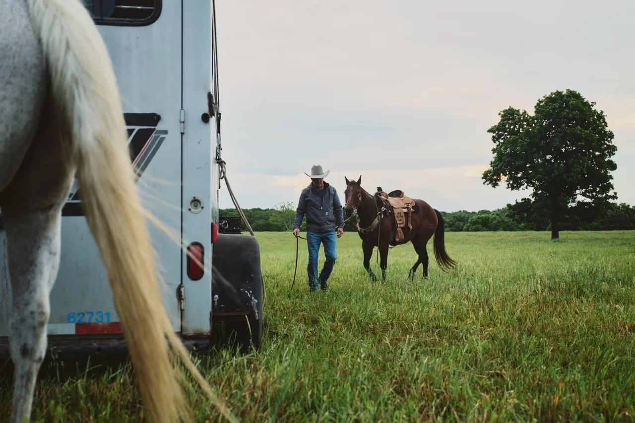 A man in a cowboy hat and jeans walking a horse in a green field, with a trailer visible on the left side and a tree in the background.