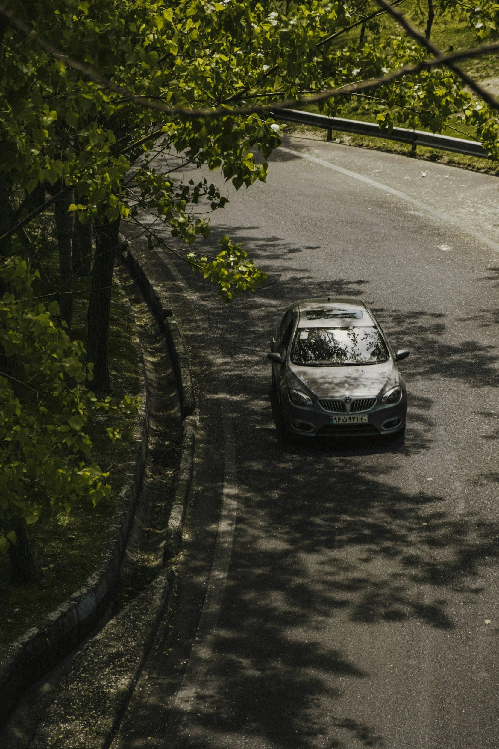 A silver car parked on a street next to a sidewalk with a black metal guardrail on the right side. The scene is shaded by green leafy trees casting shadows on the ground and car.