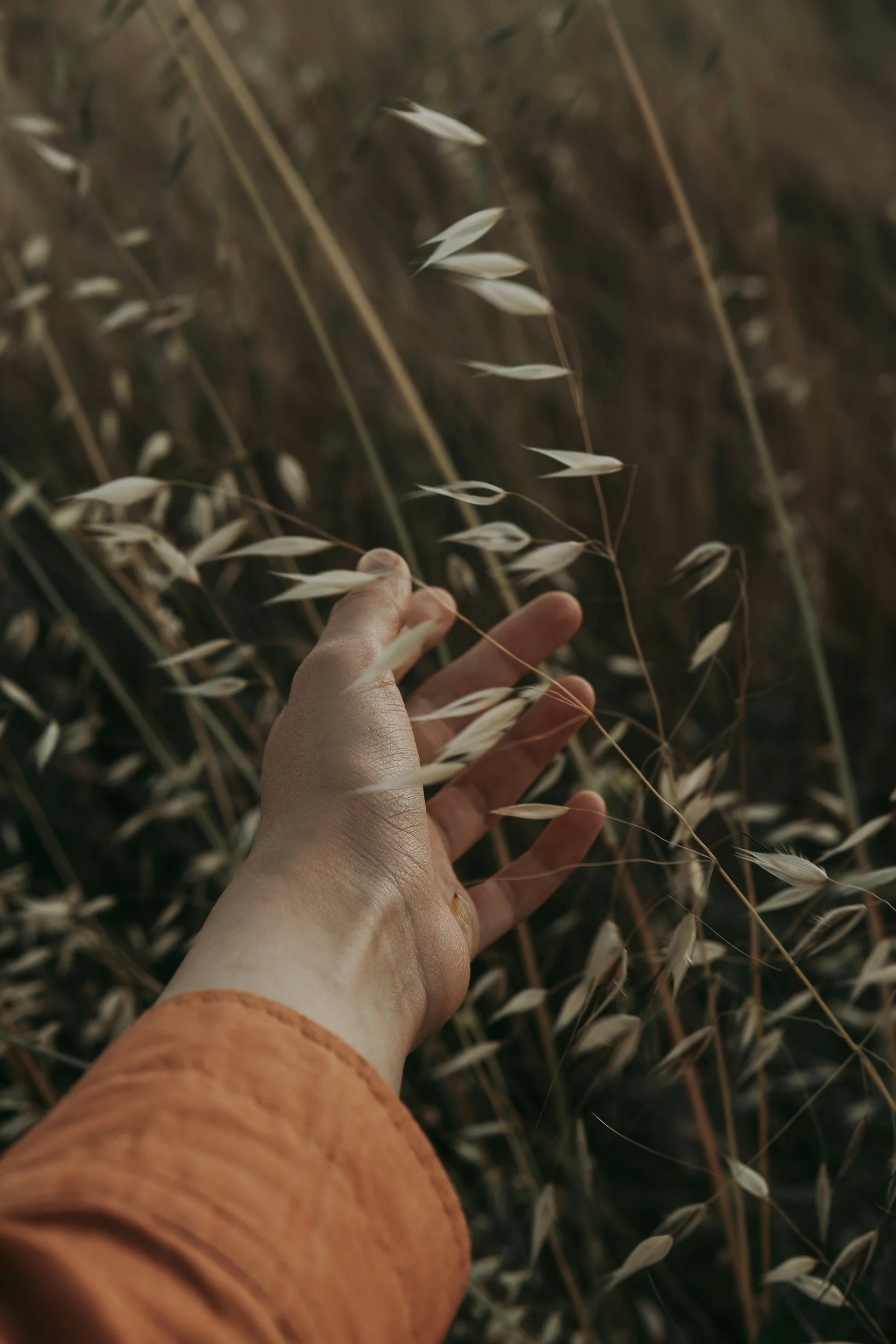 Touch grass to reconnect with the physical environment and reality