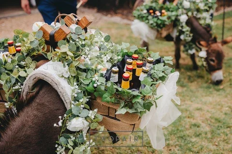 A horse decorated with a flower garland carrying a cardboard box filled with glass bottles wrapped in paper, on a grassy area.