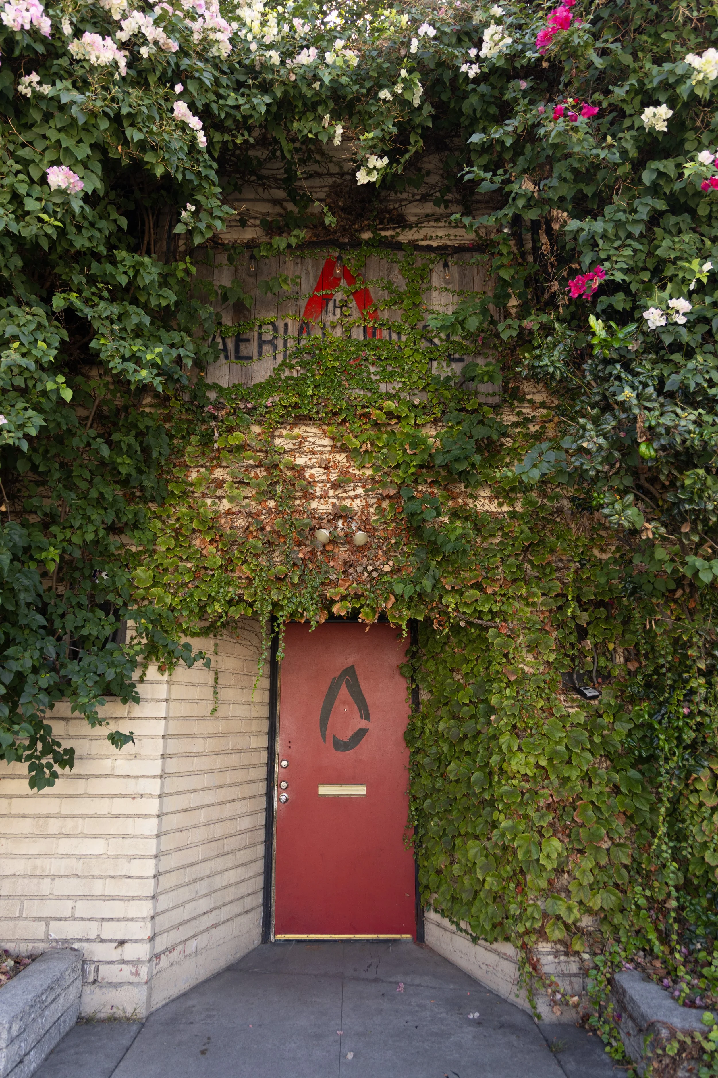 A red door with a black logo, surrounded by green ivy and flowering plants, with brick walls on either side.