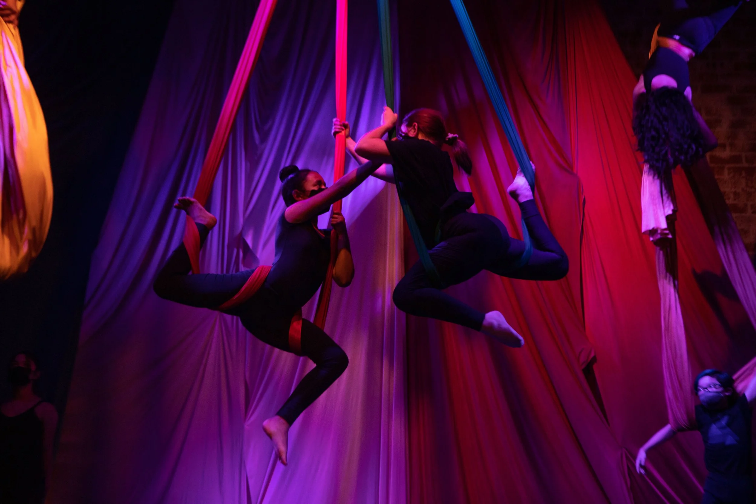 Circus performers practicing aerial silk routines on stage with red, purple, and blue silk fabric. One performer is hanging upside down, while another is climbing the fabric. The background features draped curtains in vibrant colors.