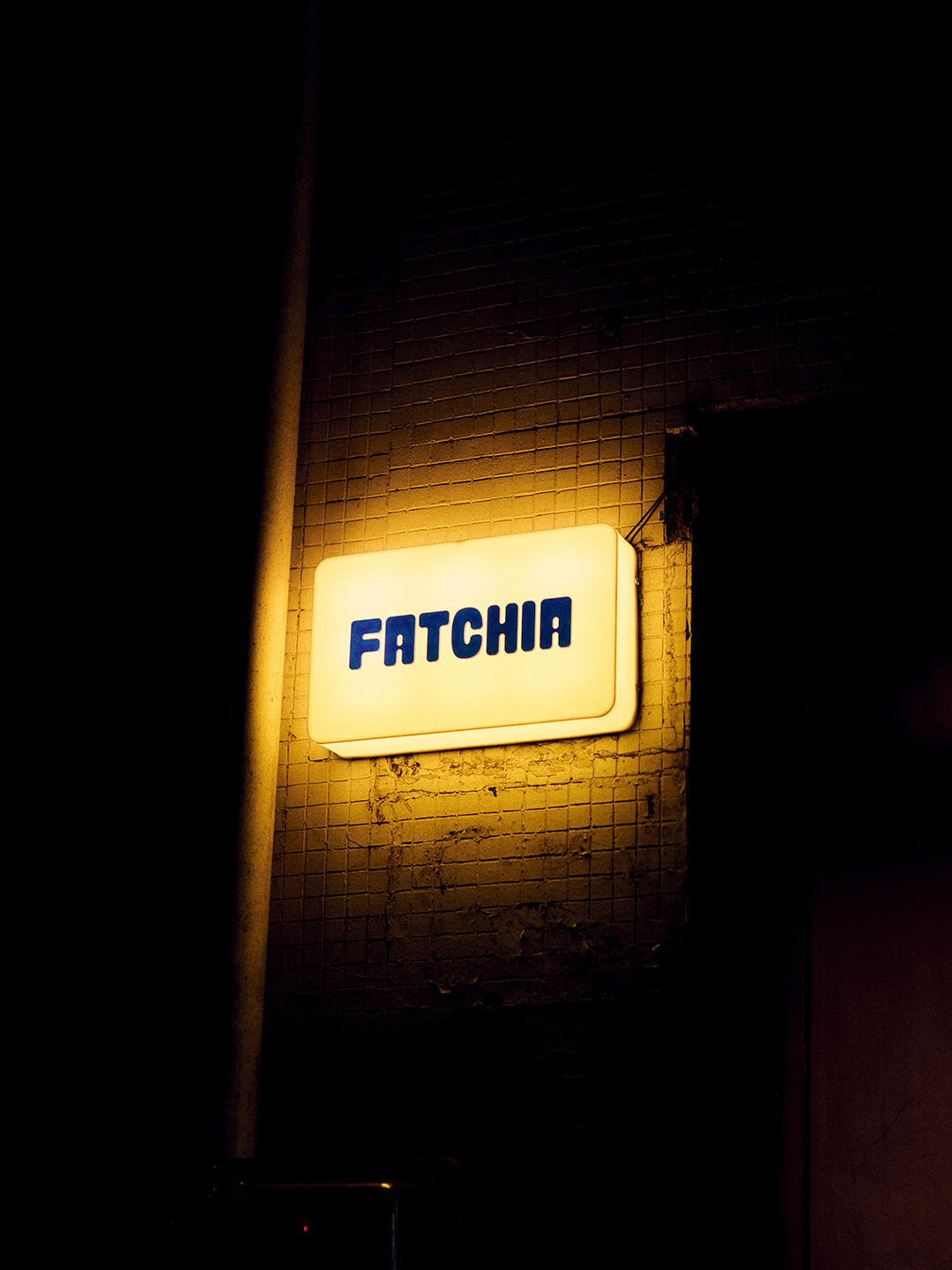 FATCHIA - #01 - 0290.png