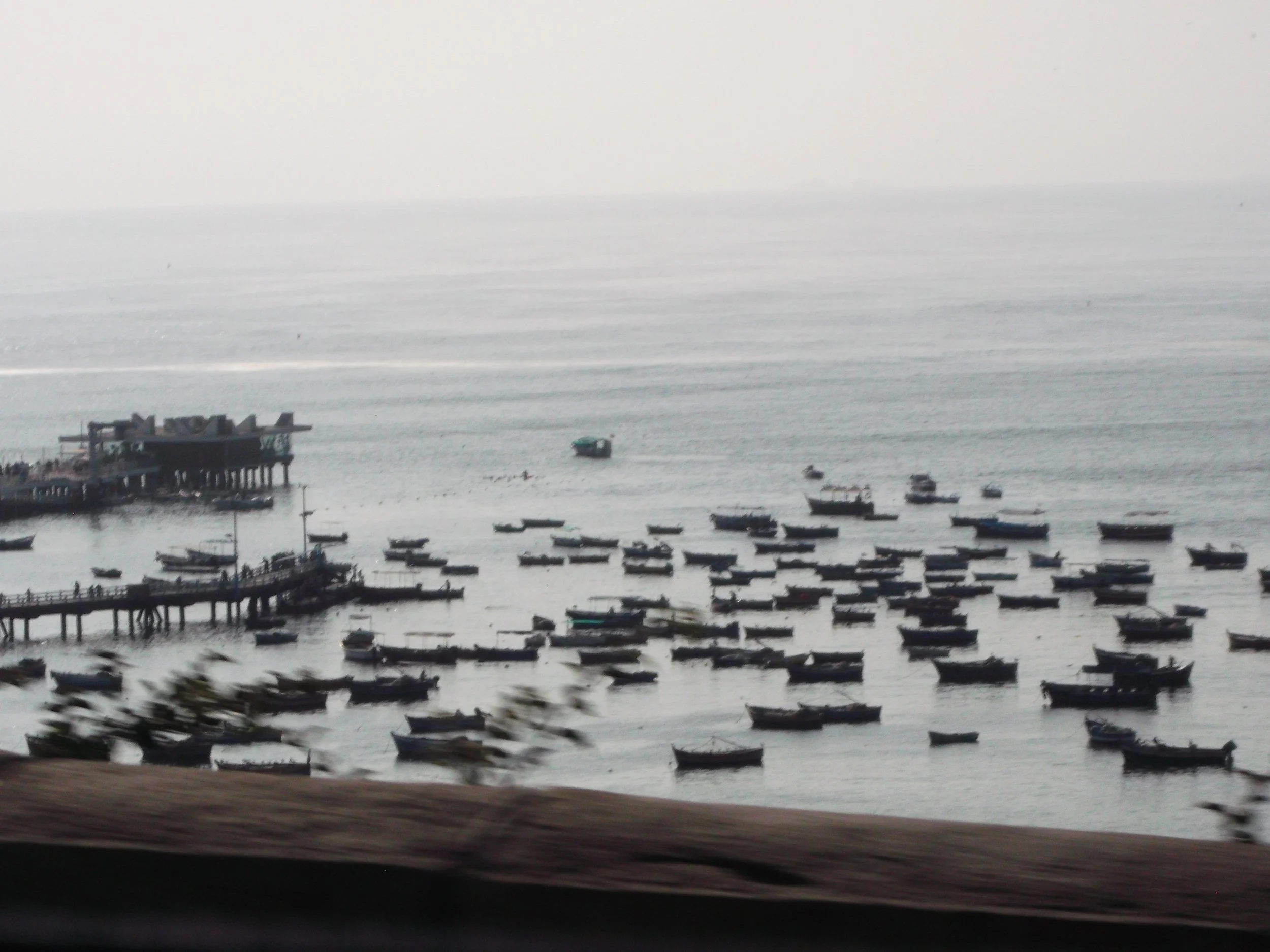 DSCF9527.JPG