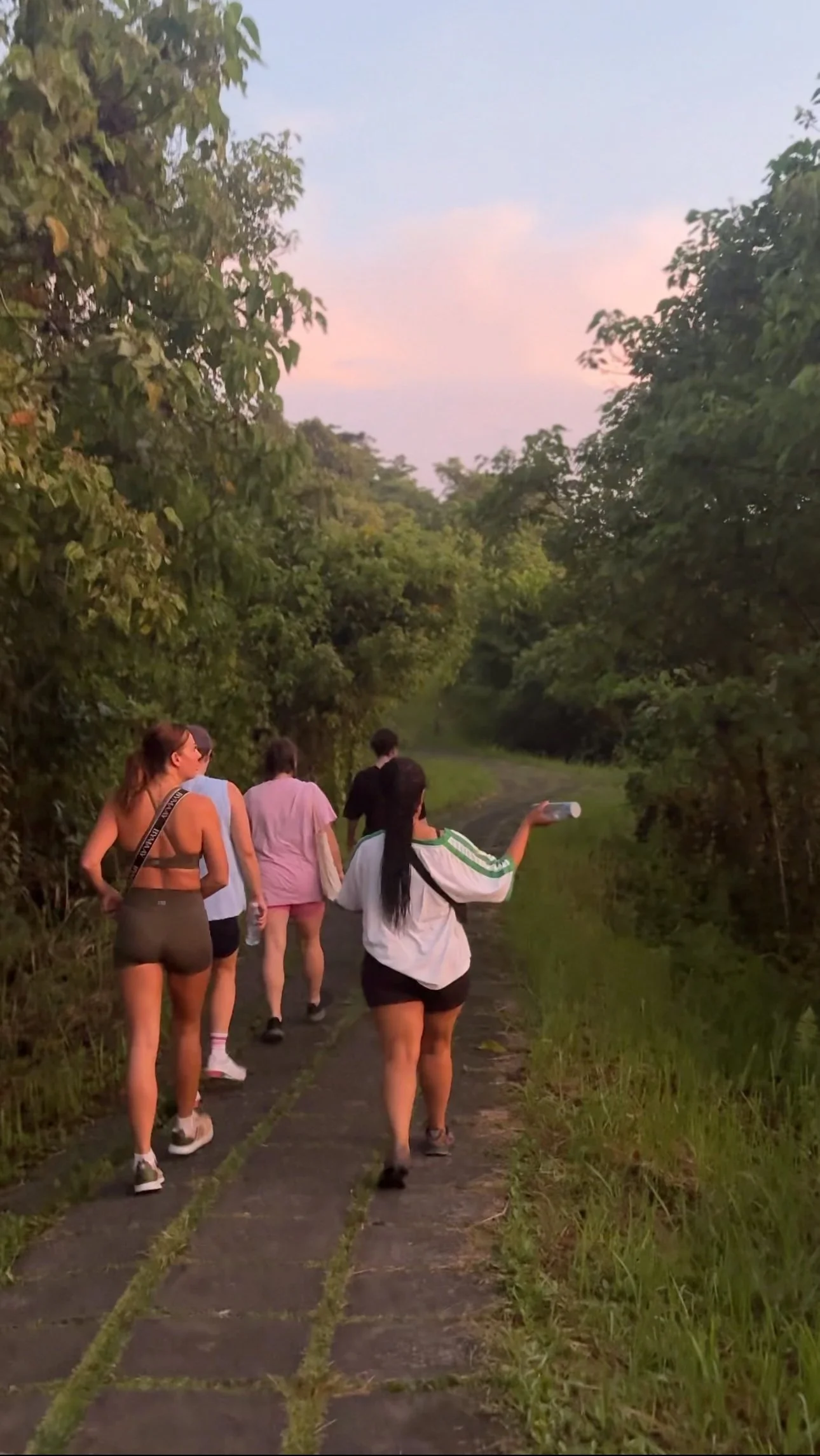 Group of five people walking along a lush tropical garden path at sunset.