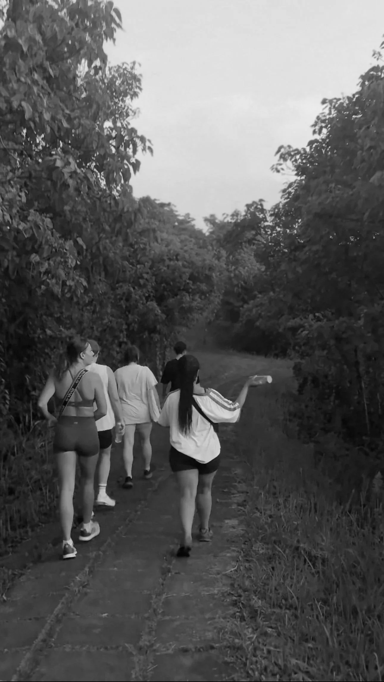 Group of friends walking along a lush forest trail