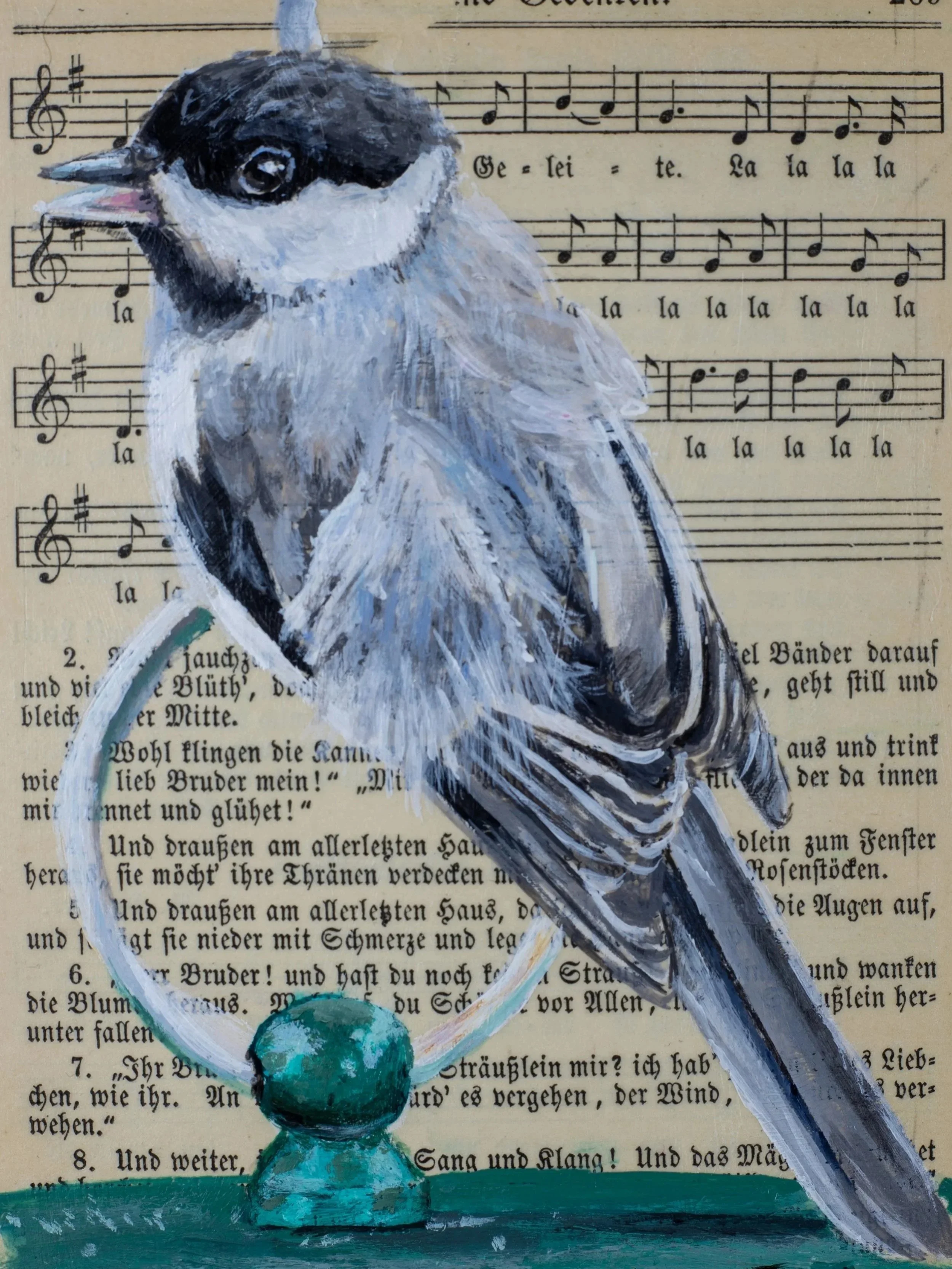 Kathy%2BFinch%2BChickadee.jpg