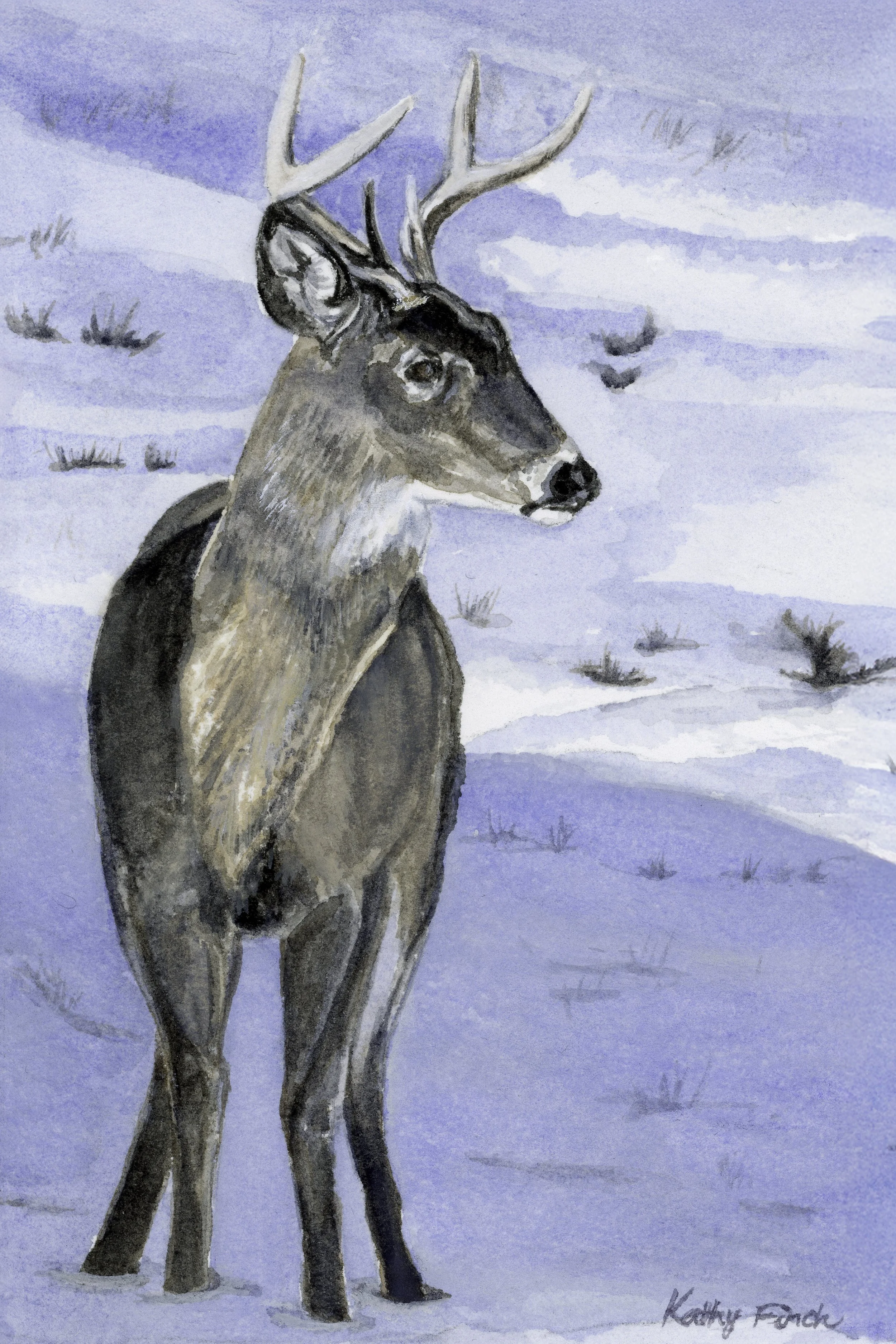 Deer Shadow