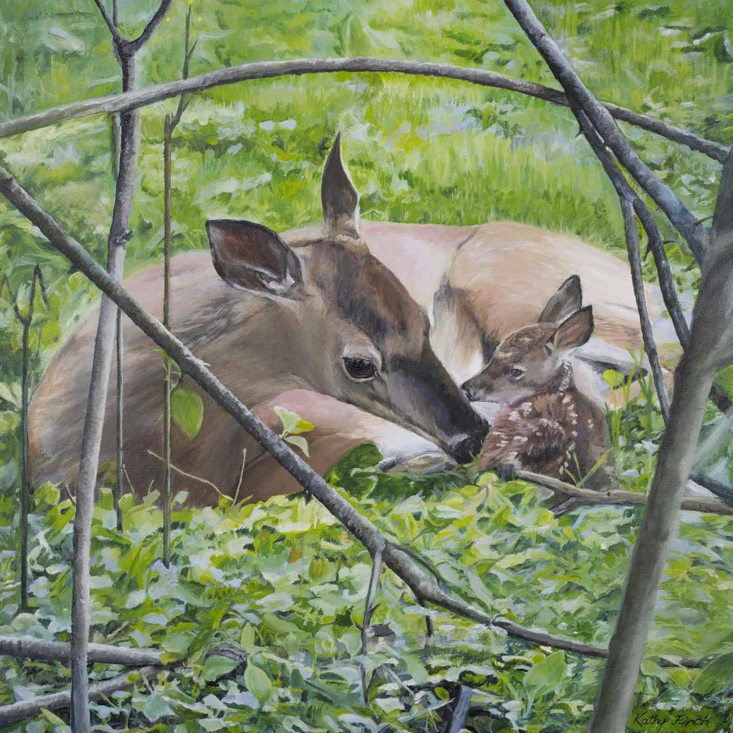 Morning Fawn