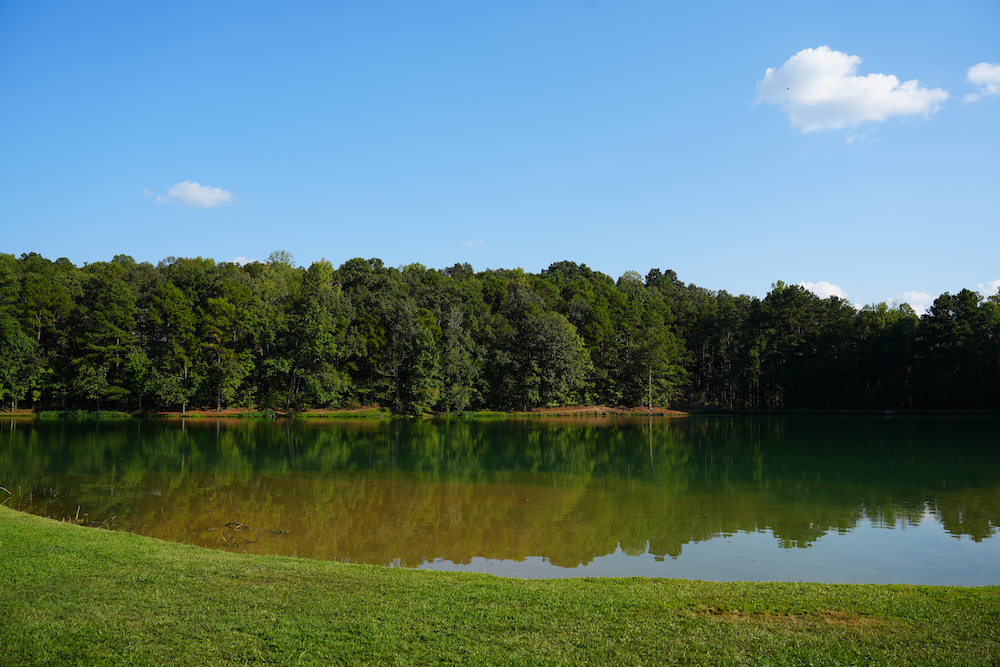 image of a lake with trees in the background