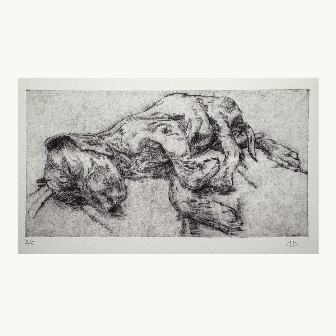 'Loki Sleeping' Editioned Print