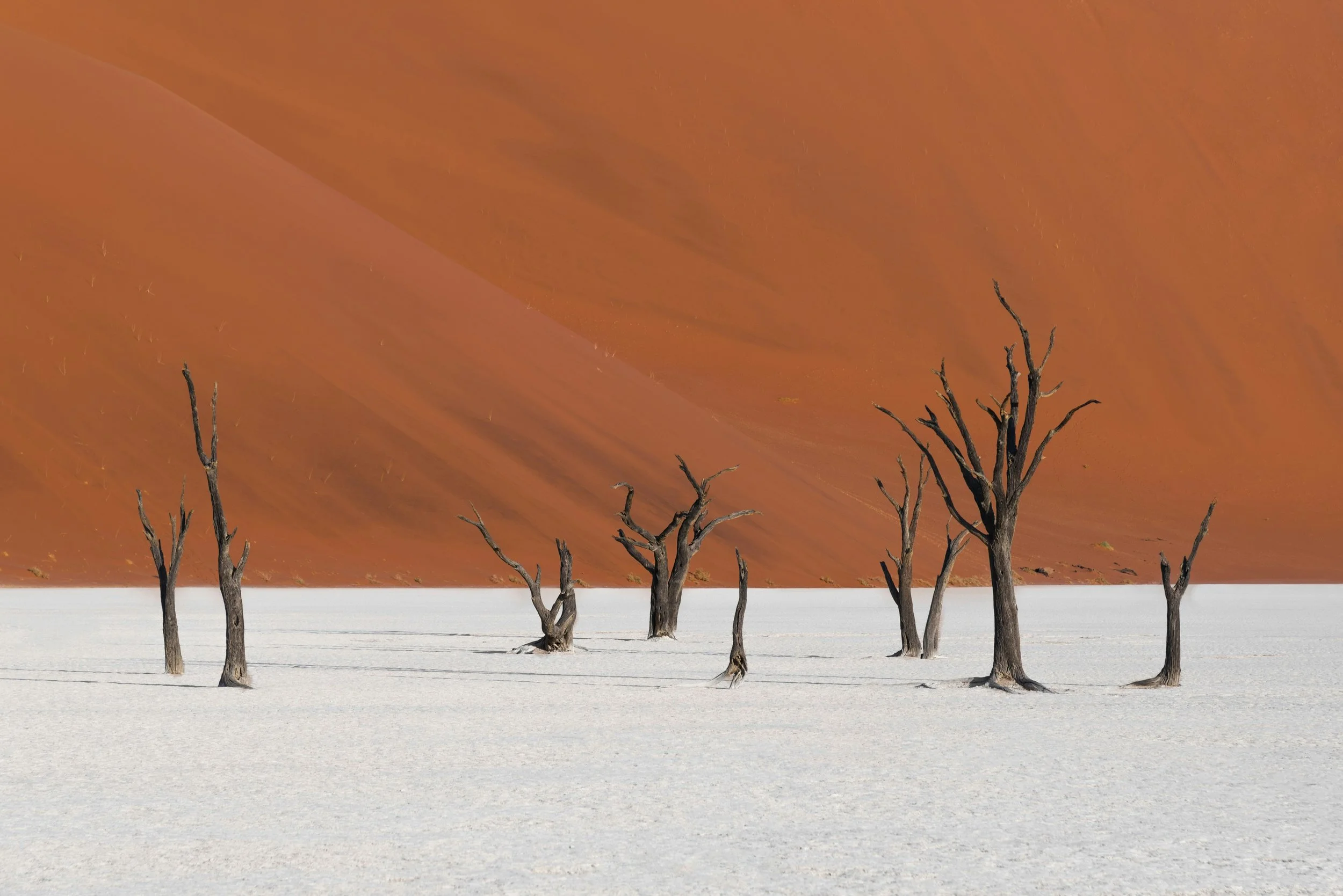 NAMIBIA WORKSHOP