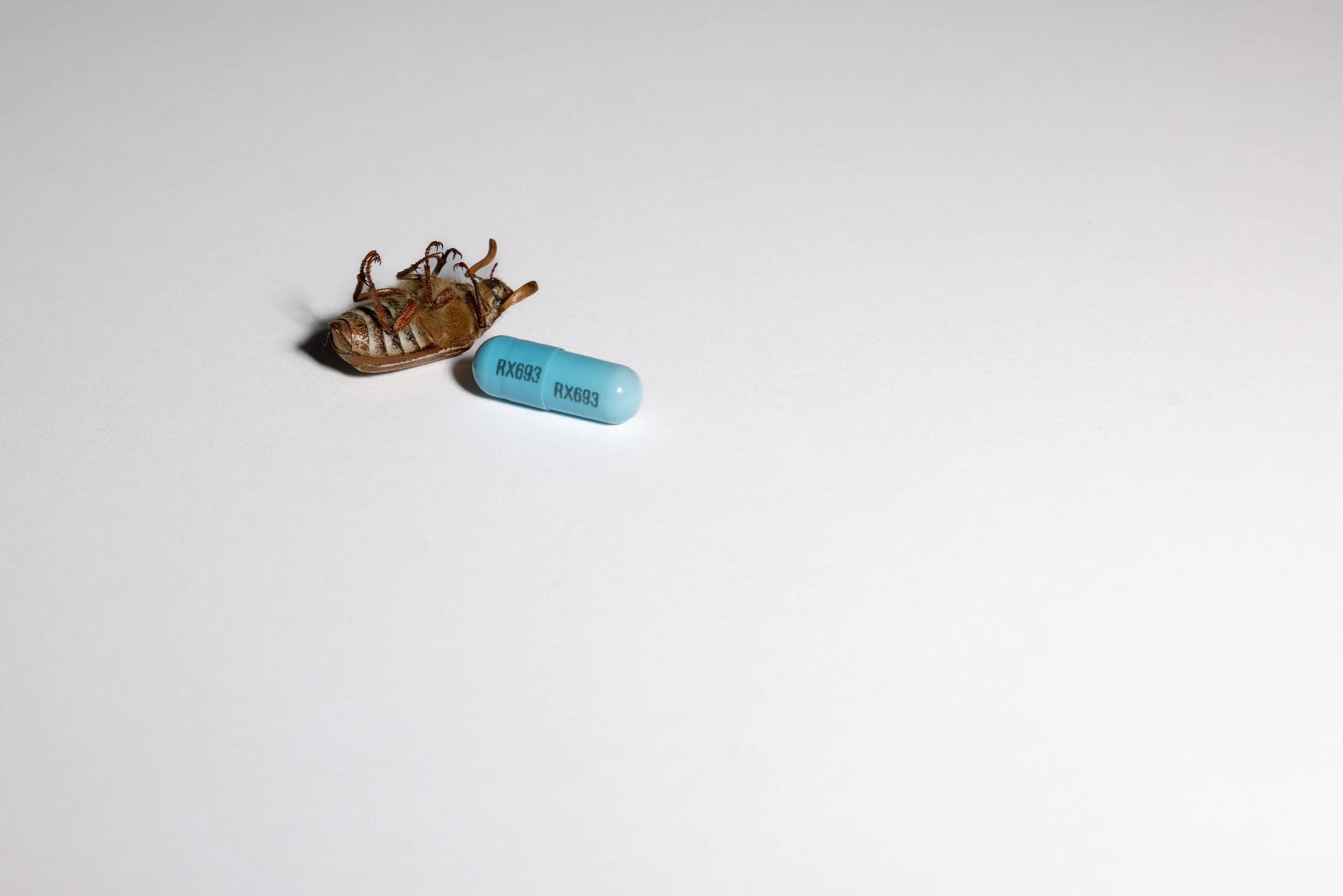 Lucydrewelowstilllife.2jpg.jpg