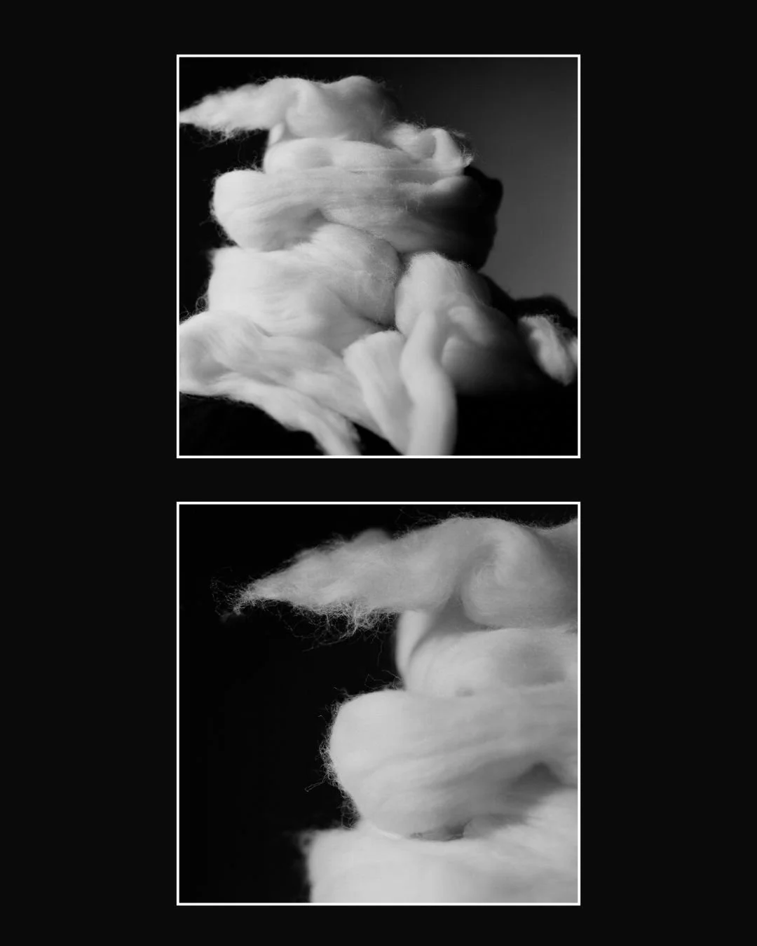 Untitled design-17.jpg