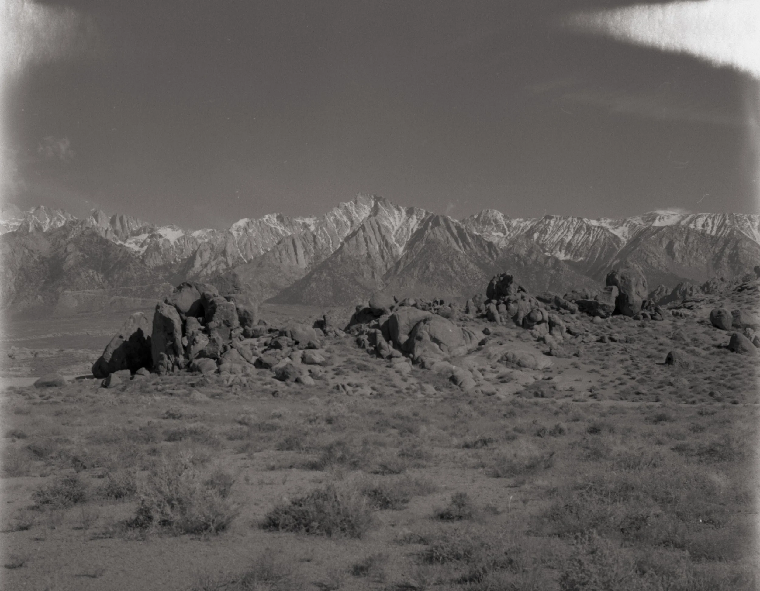 Lucydrewelow-5.jpg