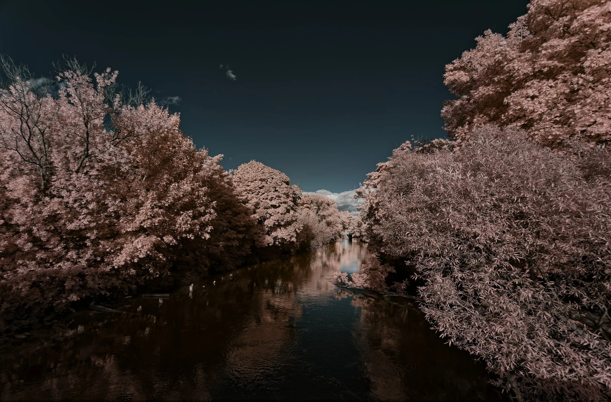 _K0A5559_CF.jpg