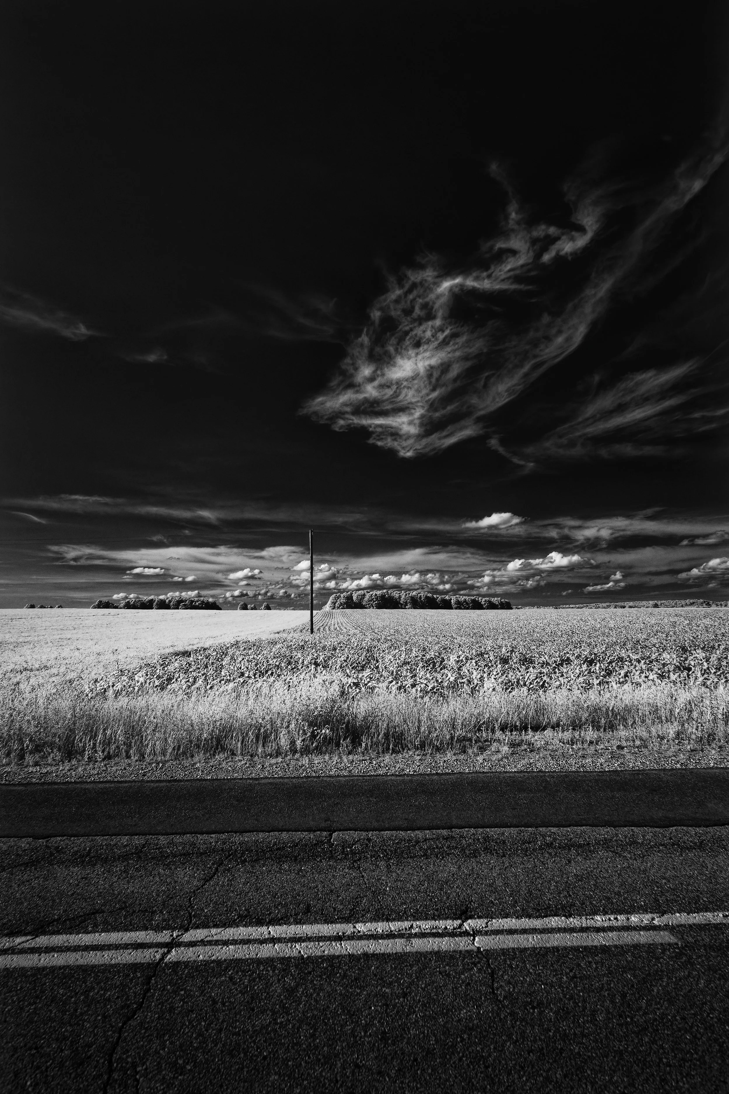 _K0A0892_CF.jpg