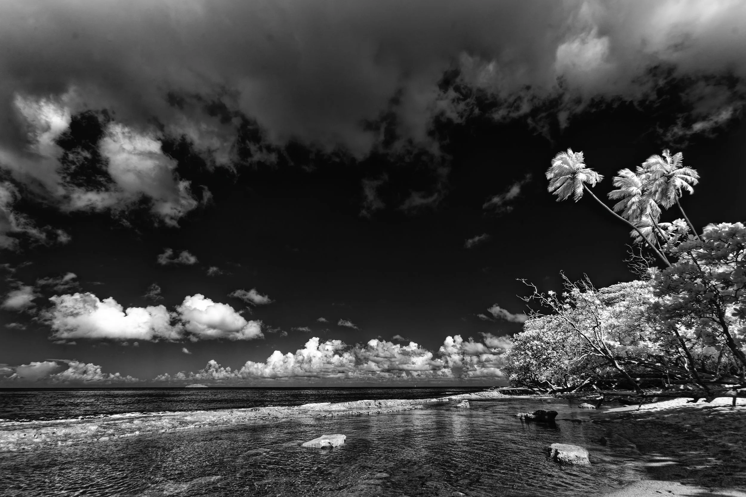 _K0A3717_1_CF.jpg