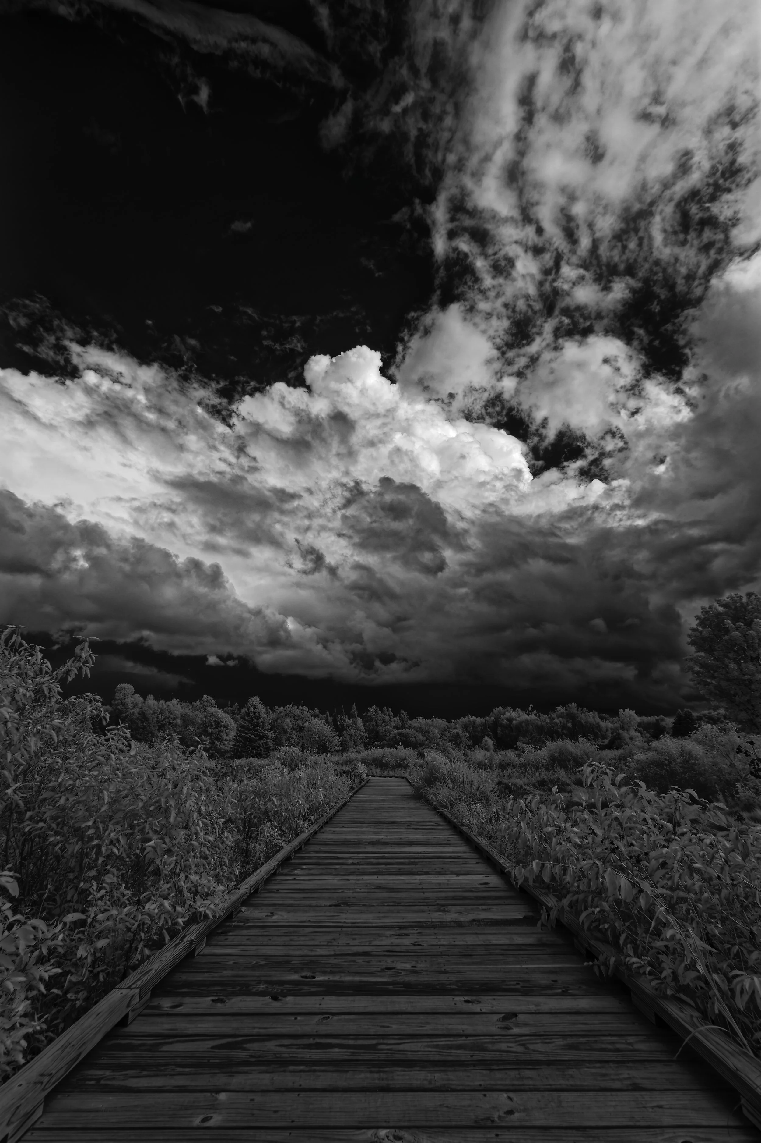 IRBW0924_01_K0A2136_CF.jpg