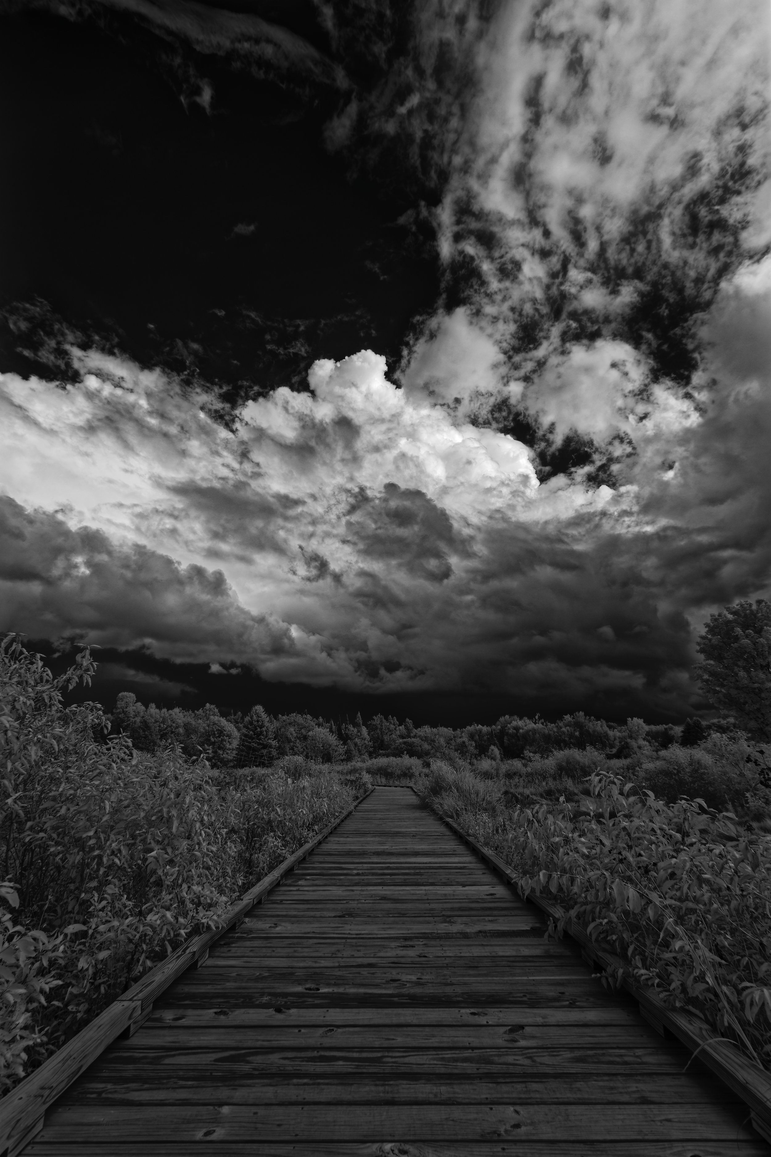 IRBW0924_01_K0A2136_CF.jpg