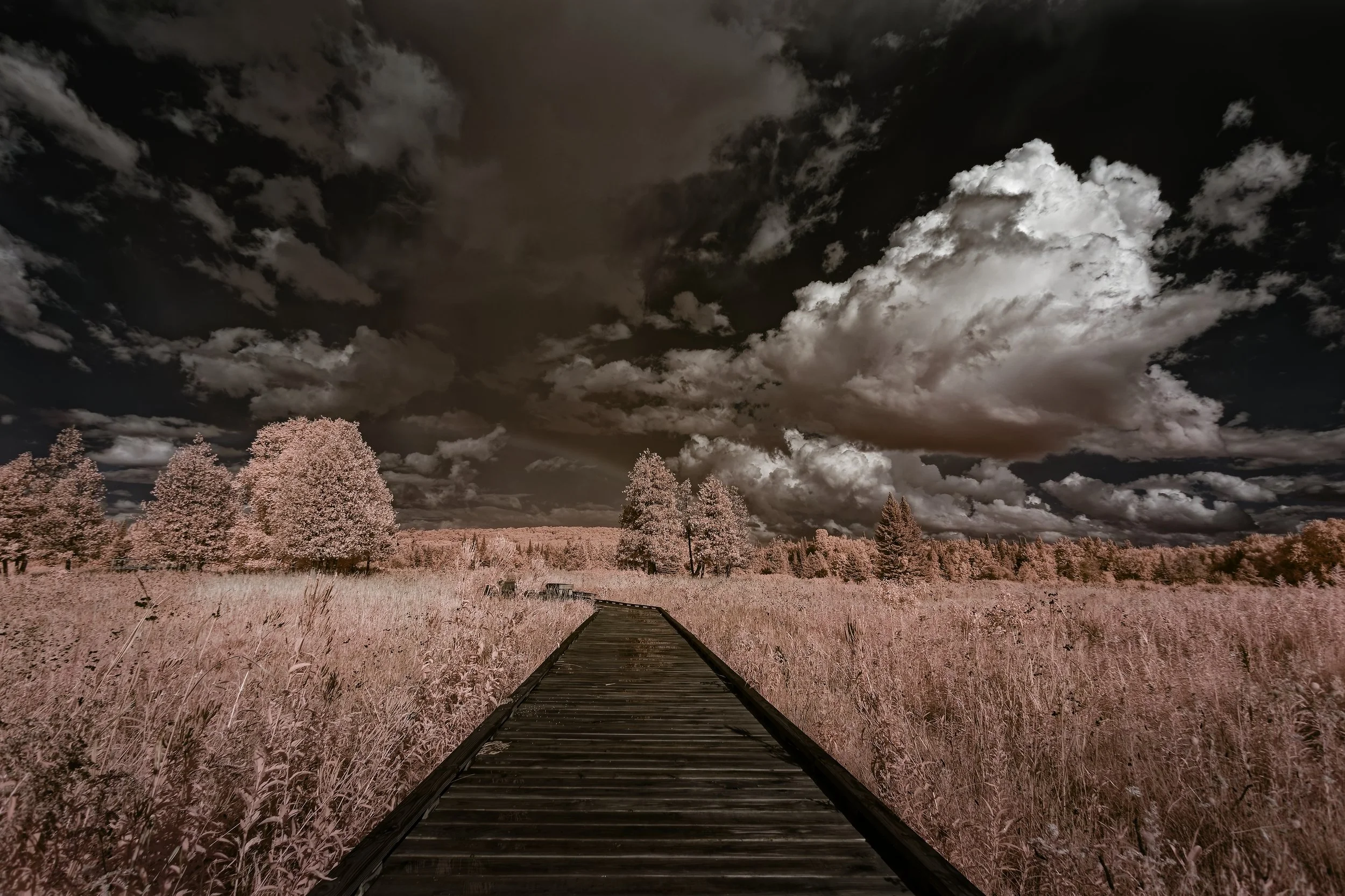 _K0A1567_CF.jpg