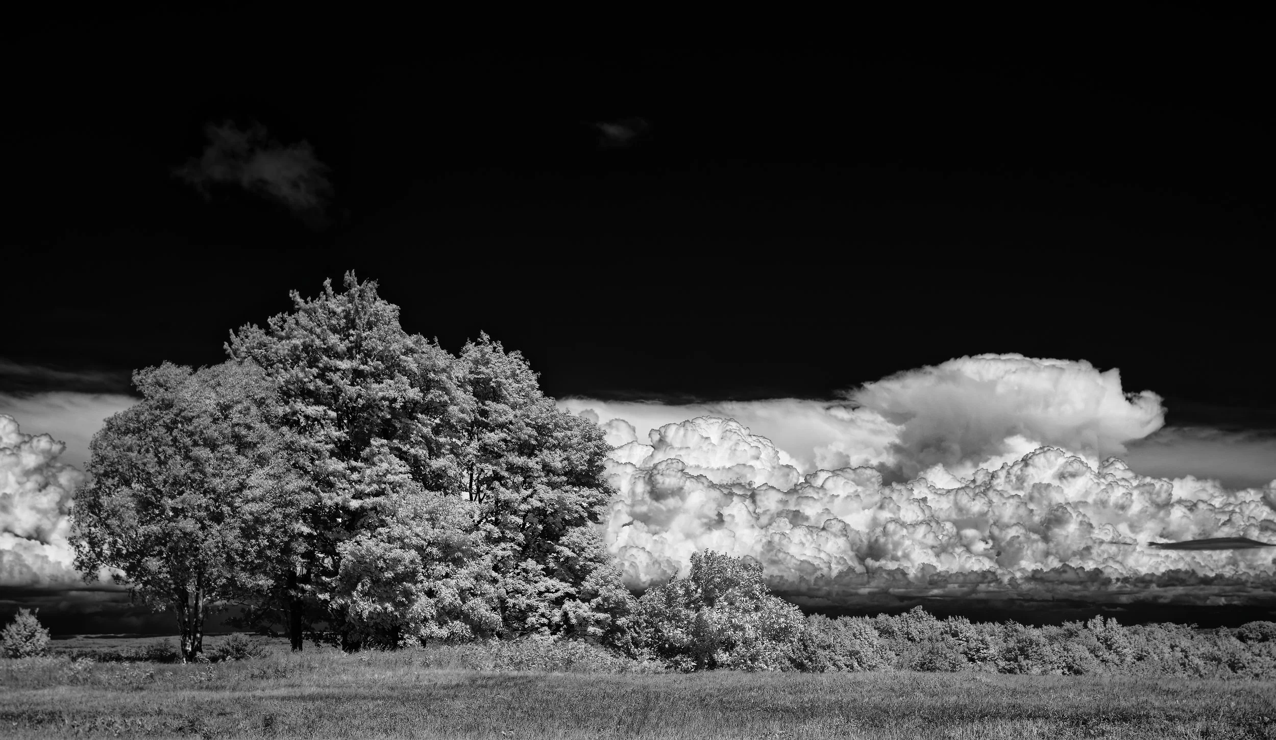 _K0A4846_1_CF.jpg