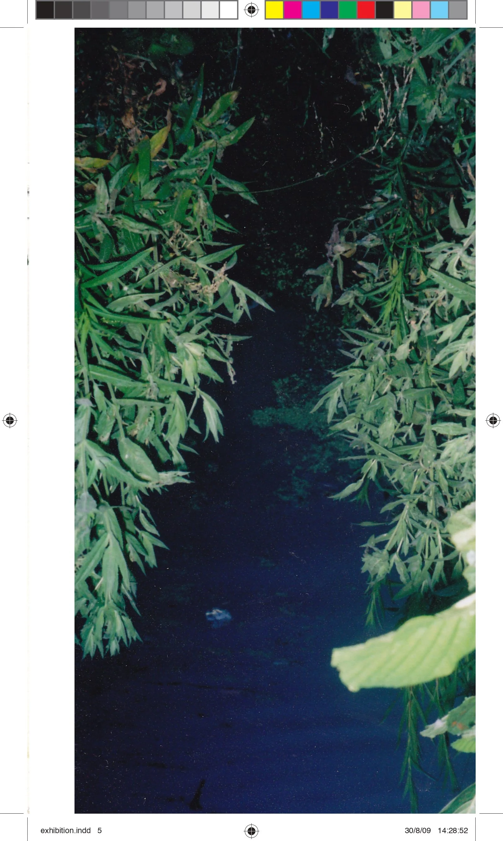 MA ISD book _page-0015.jpg