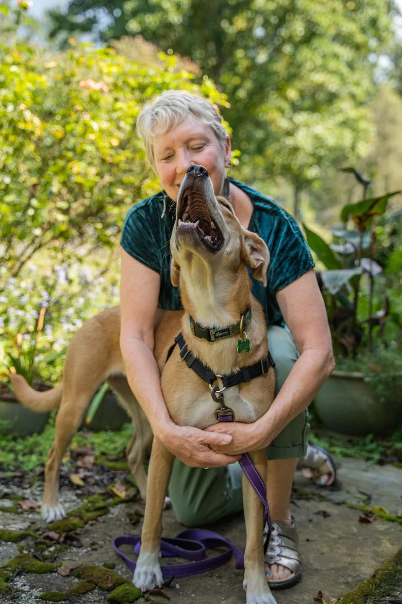 A woman is sitting outdoors on the ground, hugging a large, tan-colored dog with a black collar. Lisa has short, curly gray hair and is wearing a teal shirt and sandals. The background features green trees and plants, indicating a garden setting.