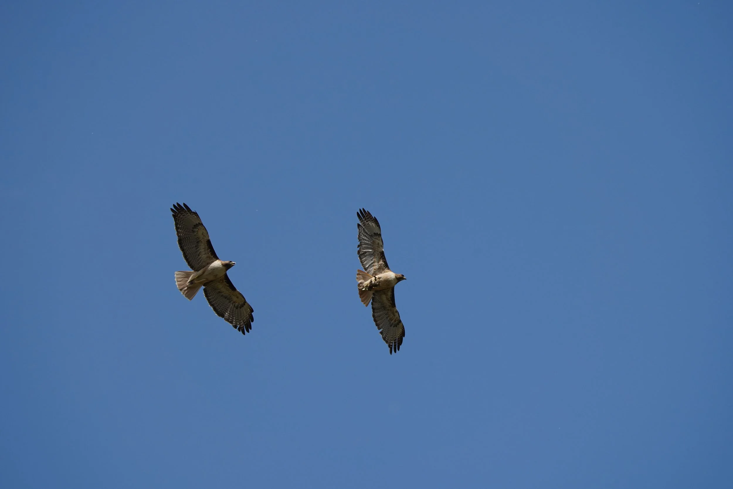 DSC07351.JPG