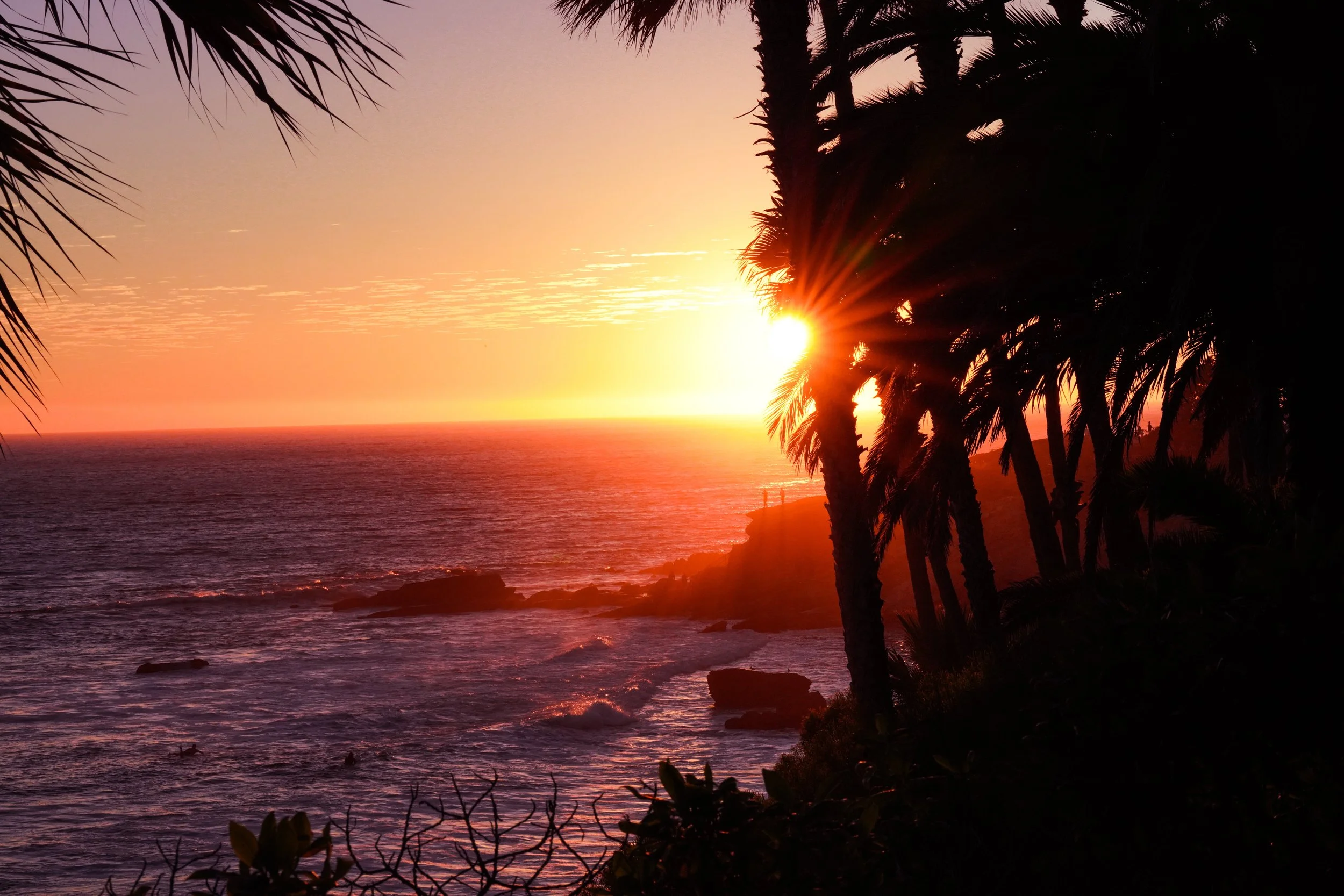 Sunset over the California coast framed by palm trees