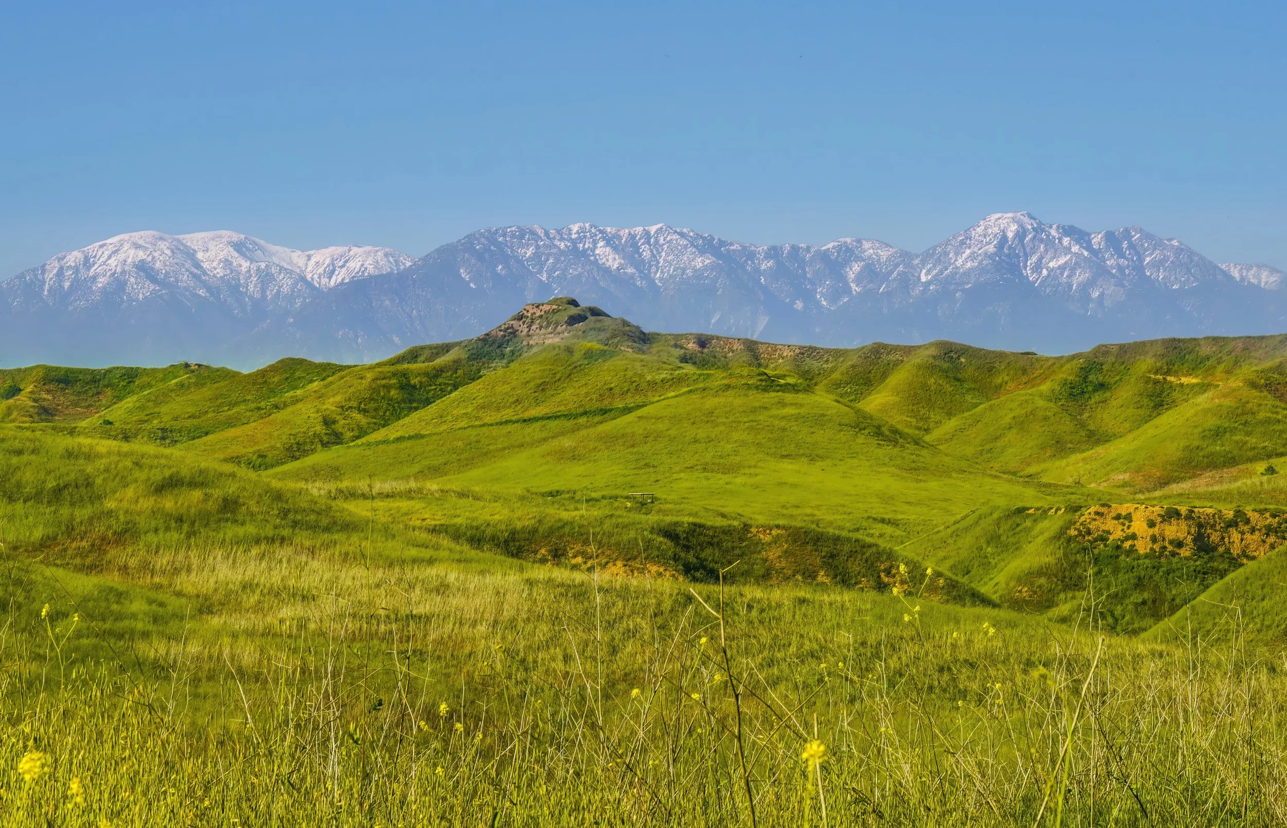 Green rolling hills with a mountain range in the background with snow-capped peaks under a clear blue sky.