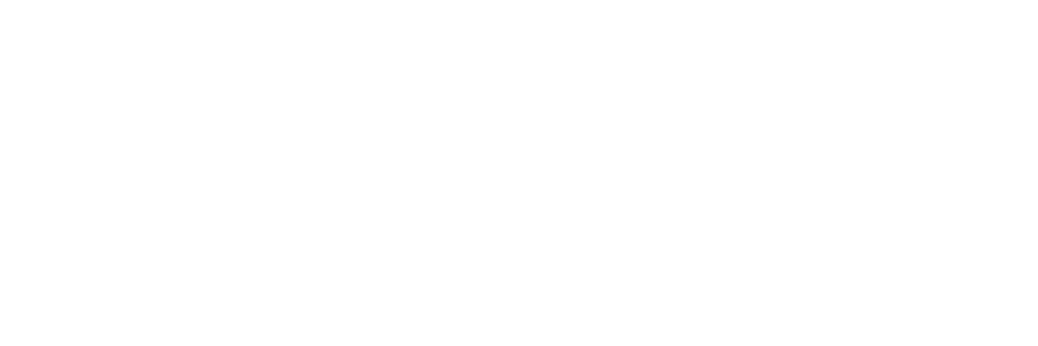 The Wiredwerk