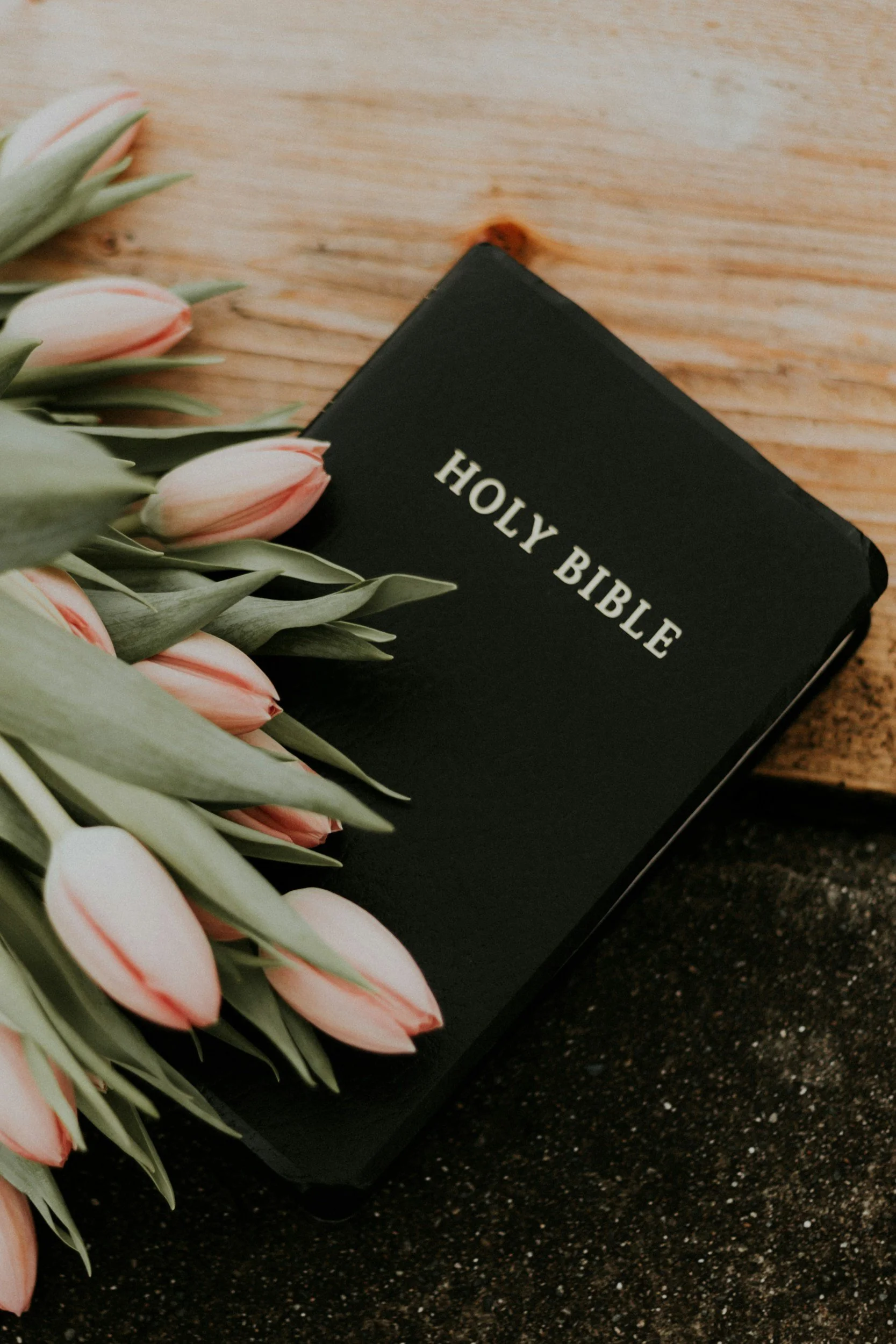 A Holy Bible placed on a wooden surface with a bouquet of pink and white tulips beside it.