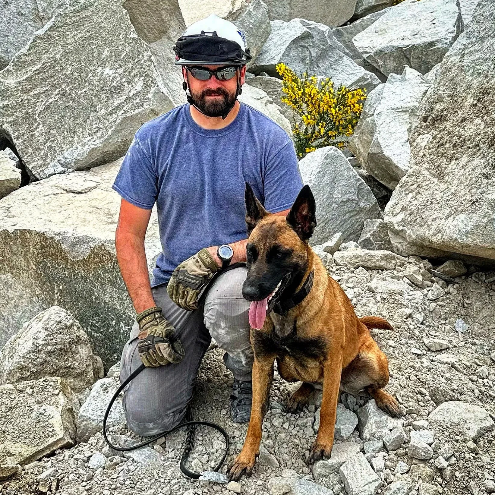 A man in outdoor gear, wearing a helmet and sunglasses, kneeling in front of a rubble pile with a search dog. The dog has a harness and its tongue hanging out, with a rubble in the  background and a small yellow flowering shrub.