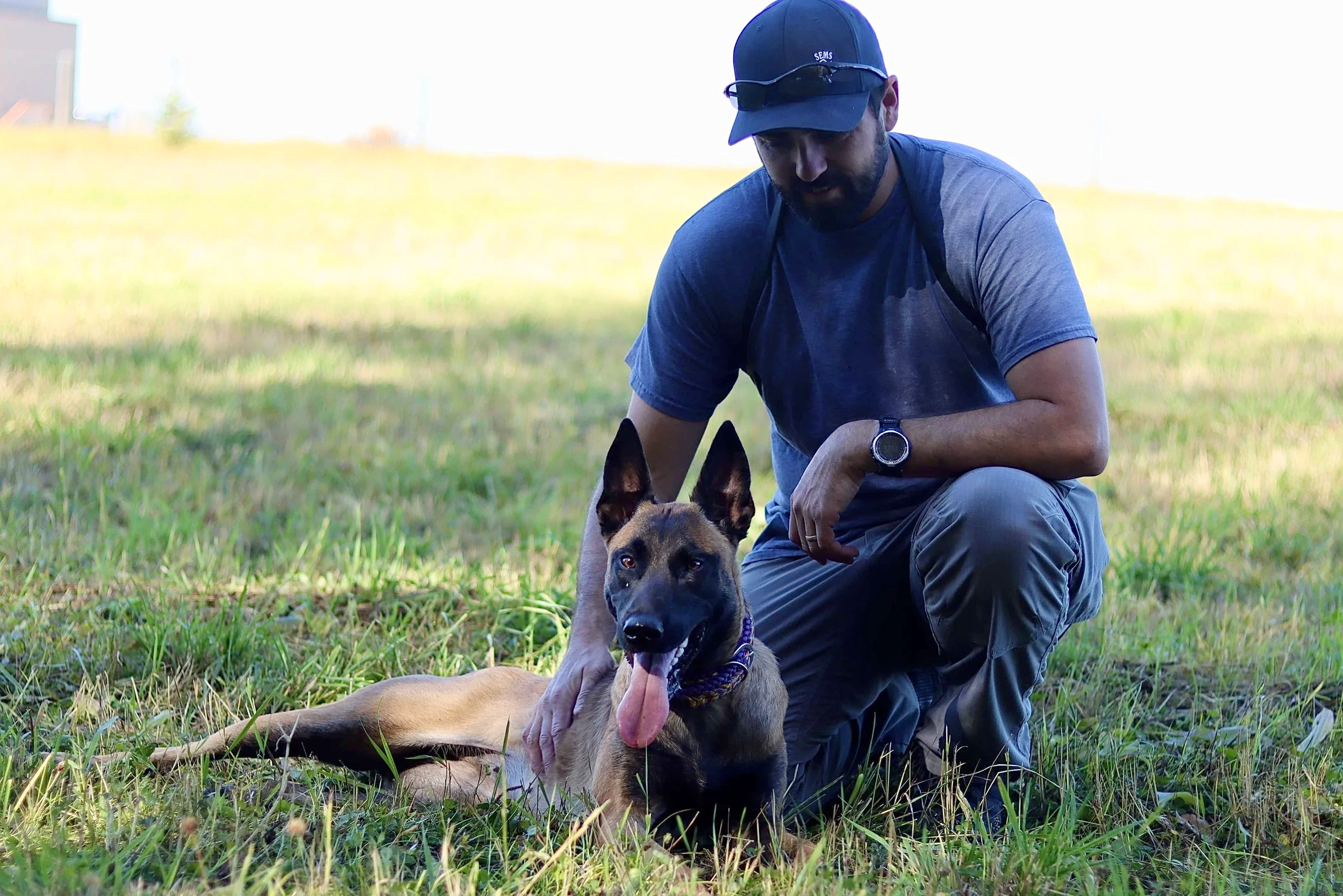 A man with a black cap and sunglasses on his head crouching in grass with his Belgian Malinois dog lying down and resting in front of him.