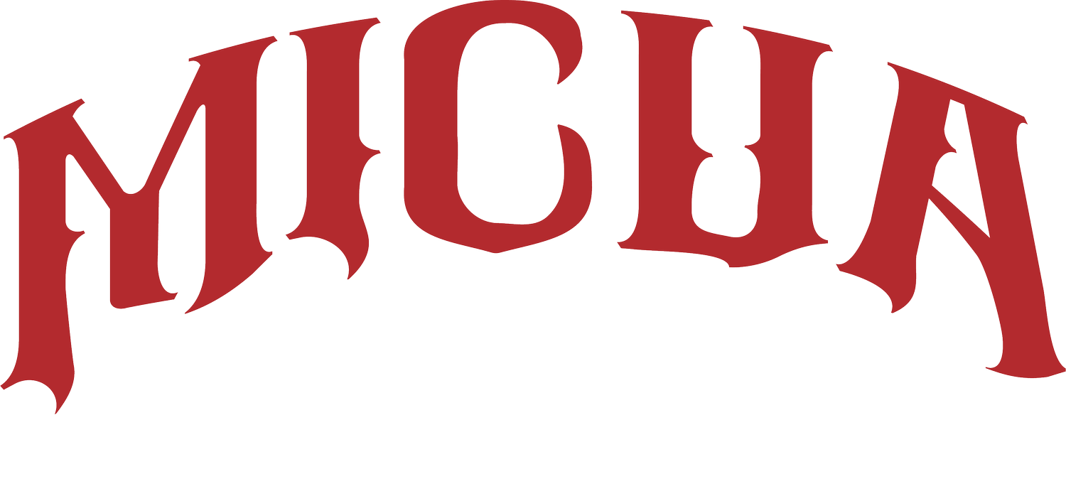 Micua Muay Thai