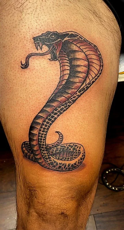 Tattoo of a coiled black and red snake with its head raised and mouth open, showing fangs, on a person's thigh.