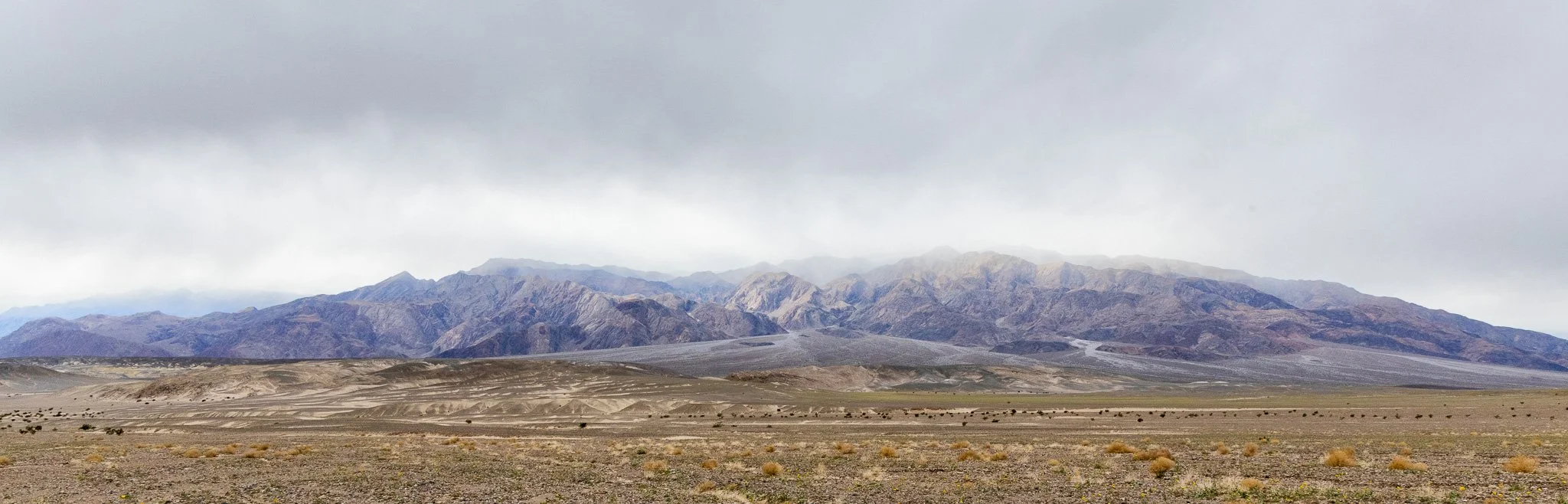 Desert landscape with mountain range and cloudy sky in the background.