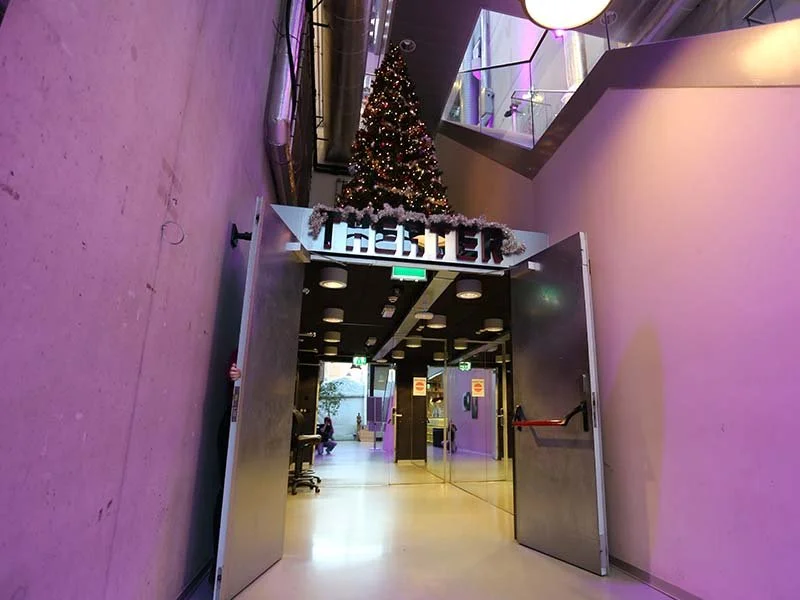 Entrance to a building with a Christmas tree decorated with lights and ornaments above the doorway.