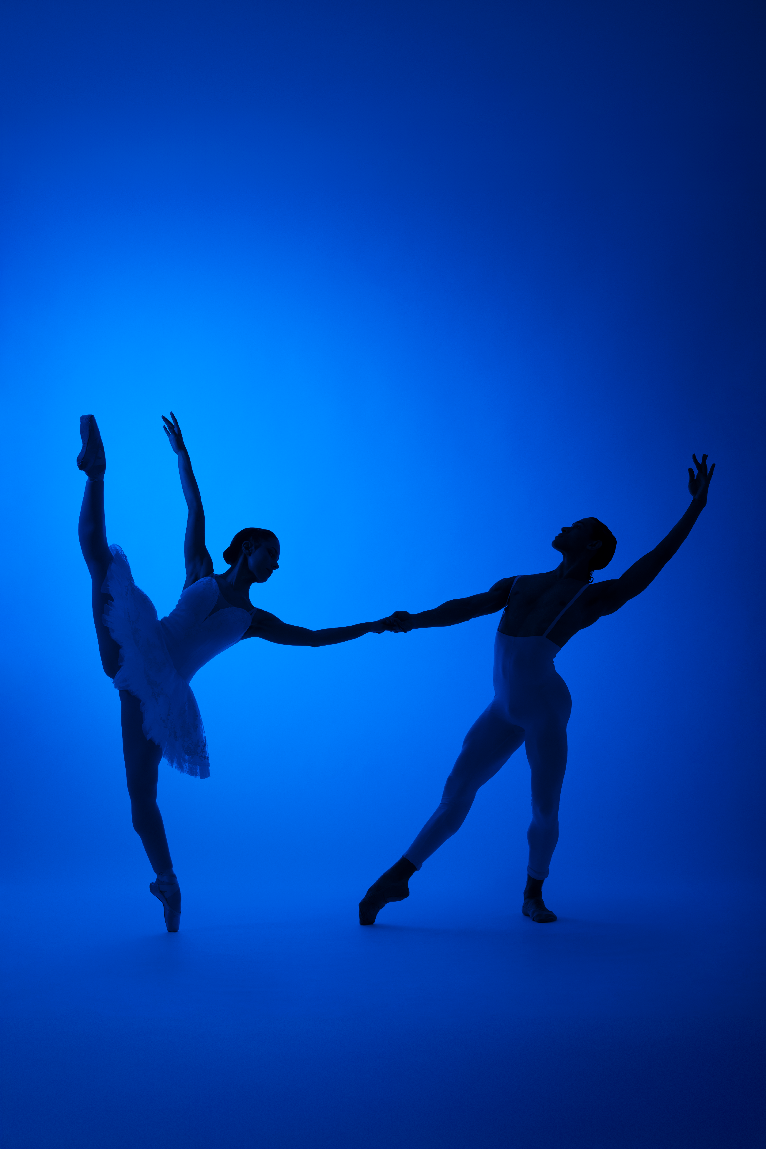 TAOB_Blauw_3964a.png