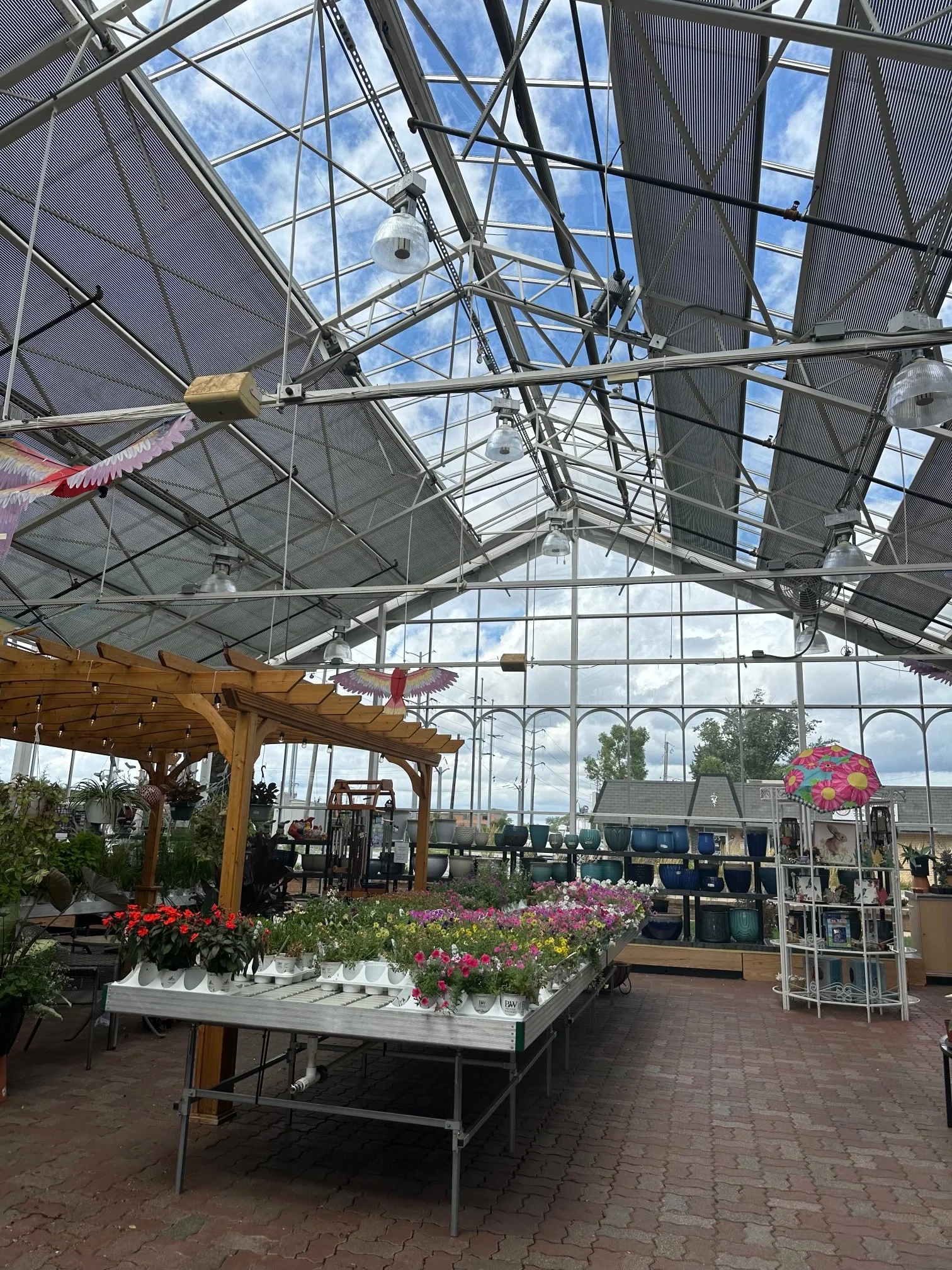 A greenhouse interior filled with colorful flowering plants and various gardening supplies, with roof panels allowing sunlight and a view of the blue sky and clouds.