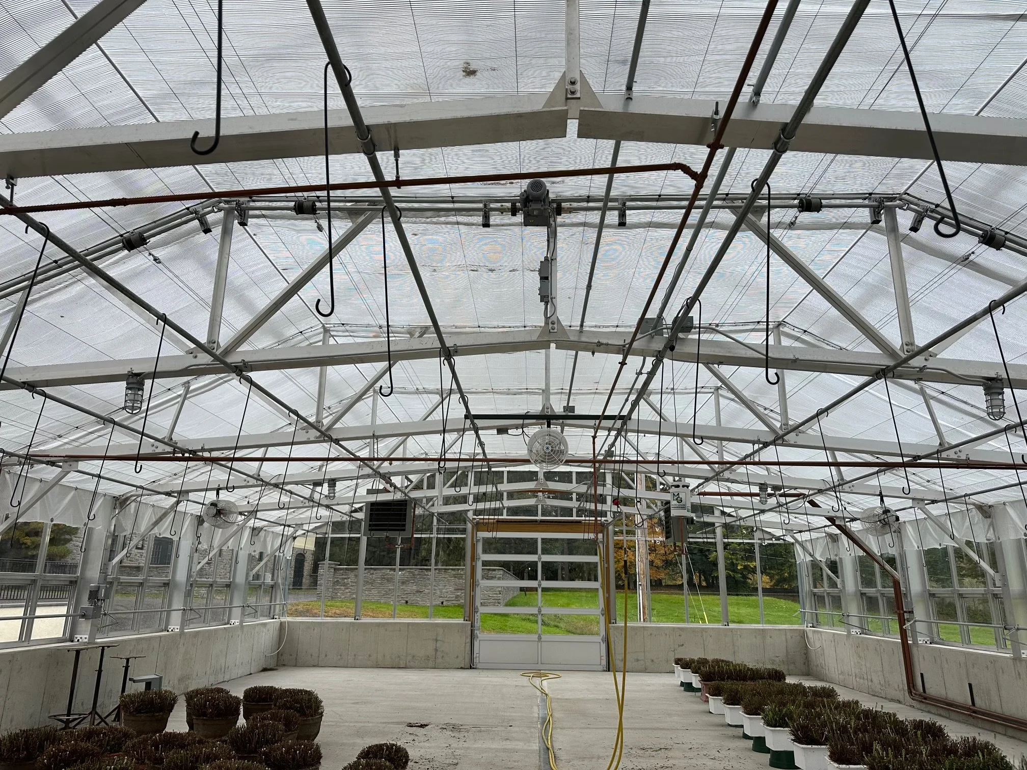 Inside a greenhouse with metal framework, some potted plants on the ground, and a few hanging hooks and tubes overhead.