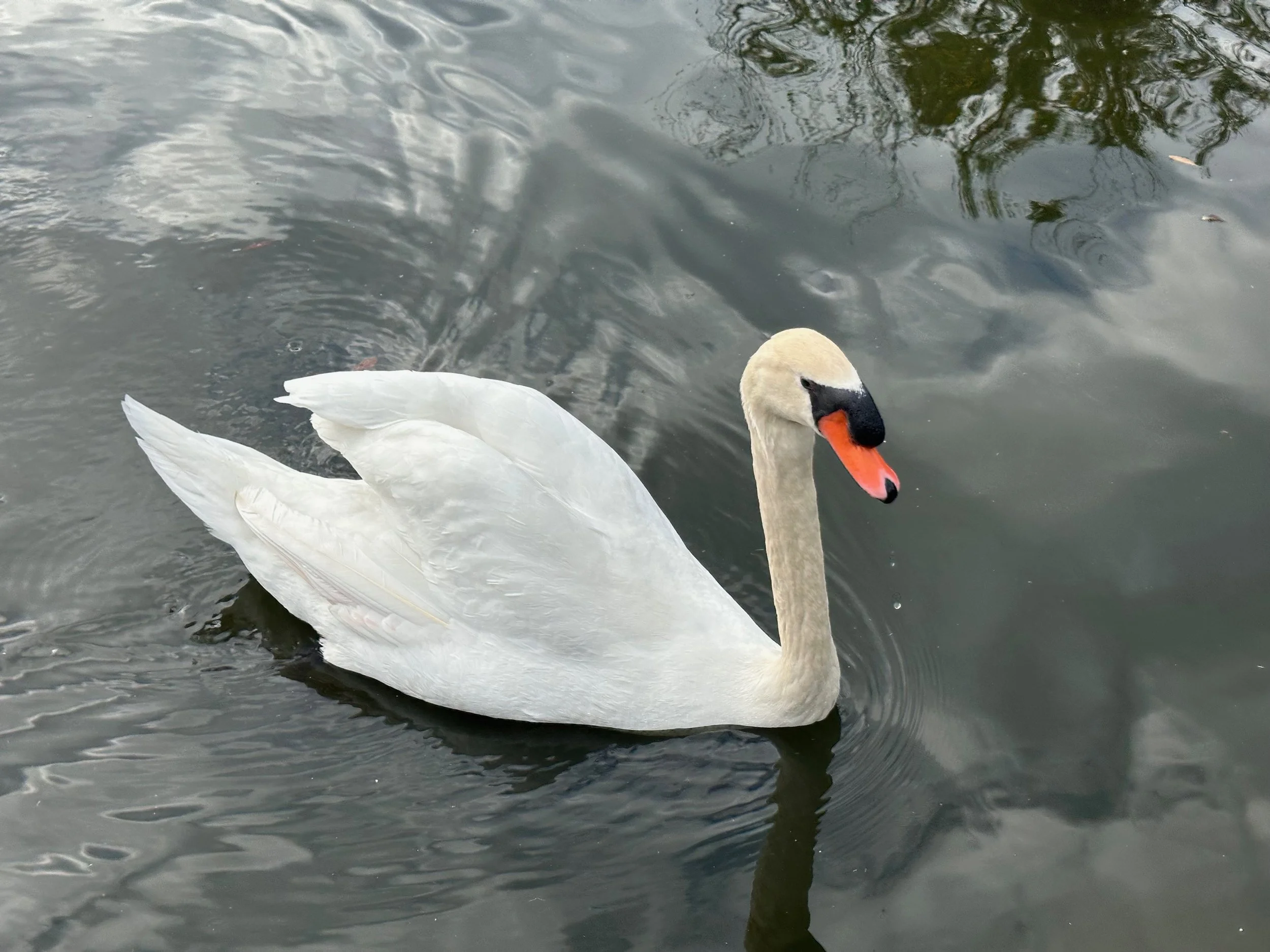 IMG_3525.jpeg