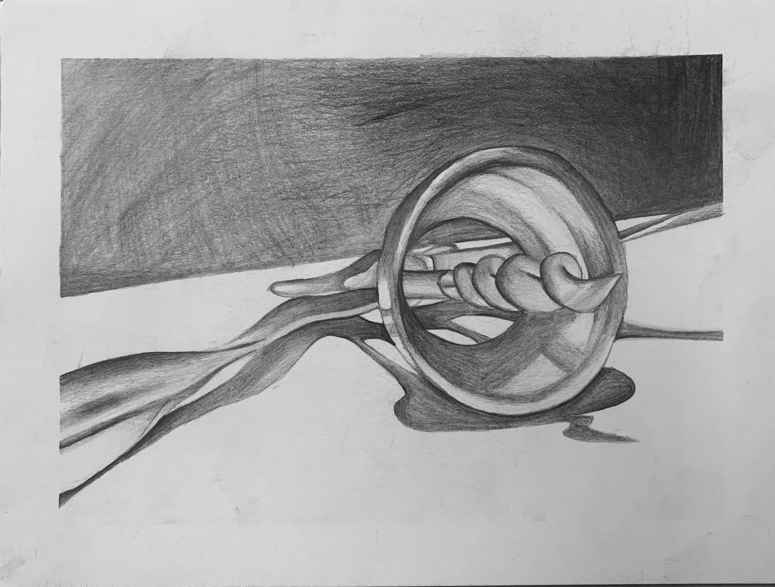 Corkscrew Study, 2022
Graphite on bristol