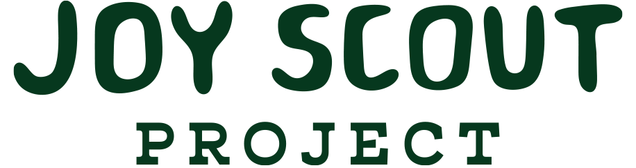 JOY SCOUT PROJECT