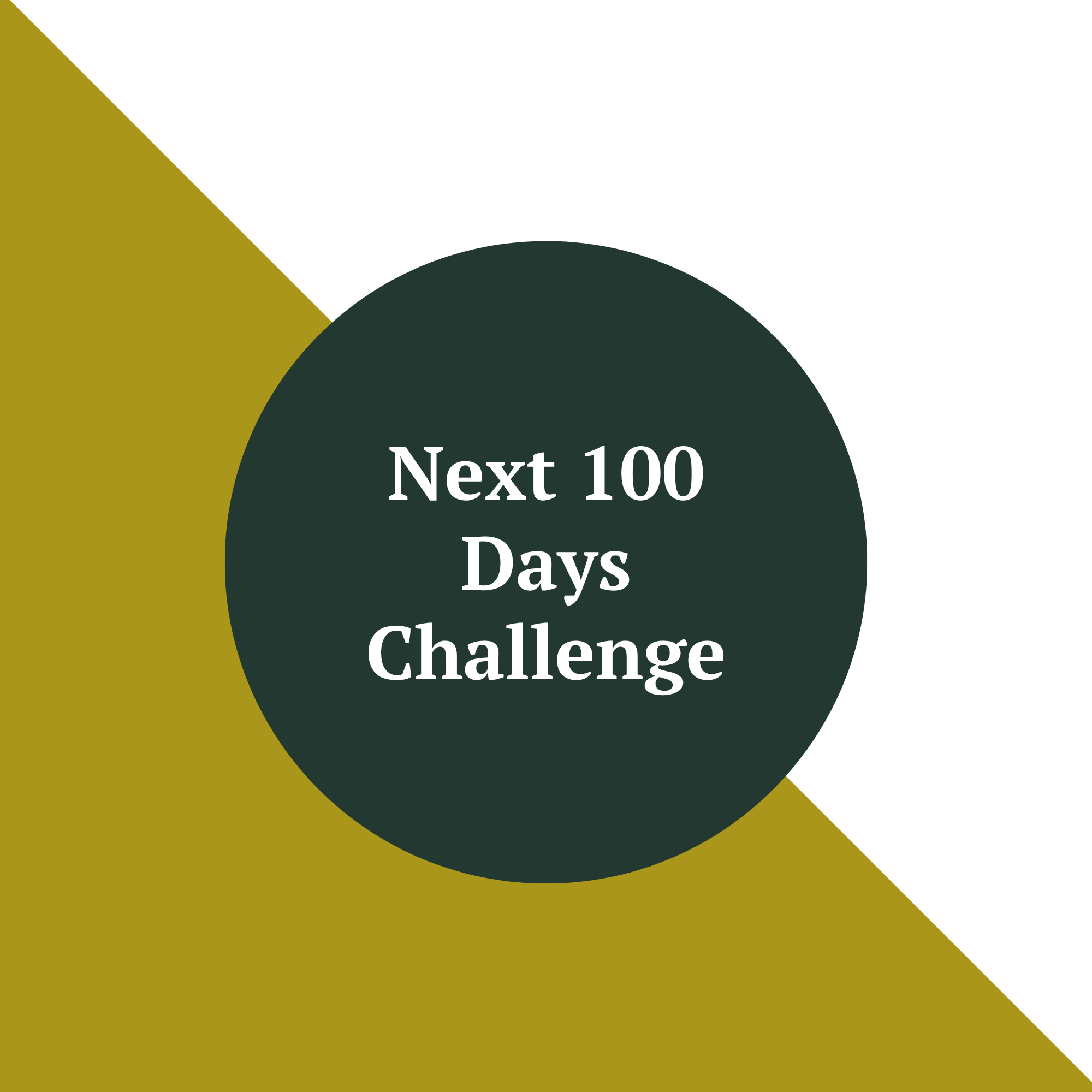The Next 100 Days Challenge