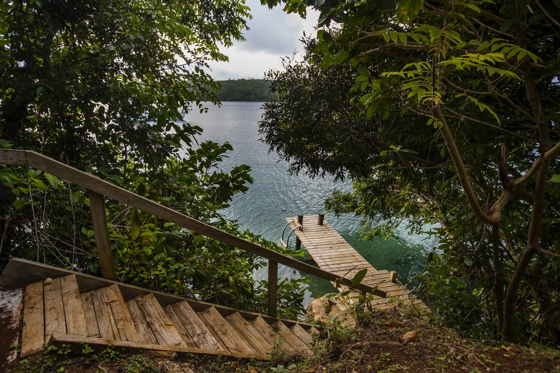 A wooden staircase leading down to a dock over water, framed by dense green trees and foliage with a hillside visible in the background.